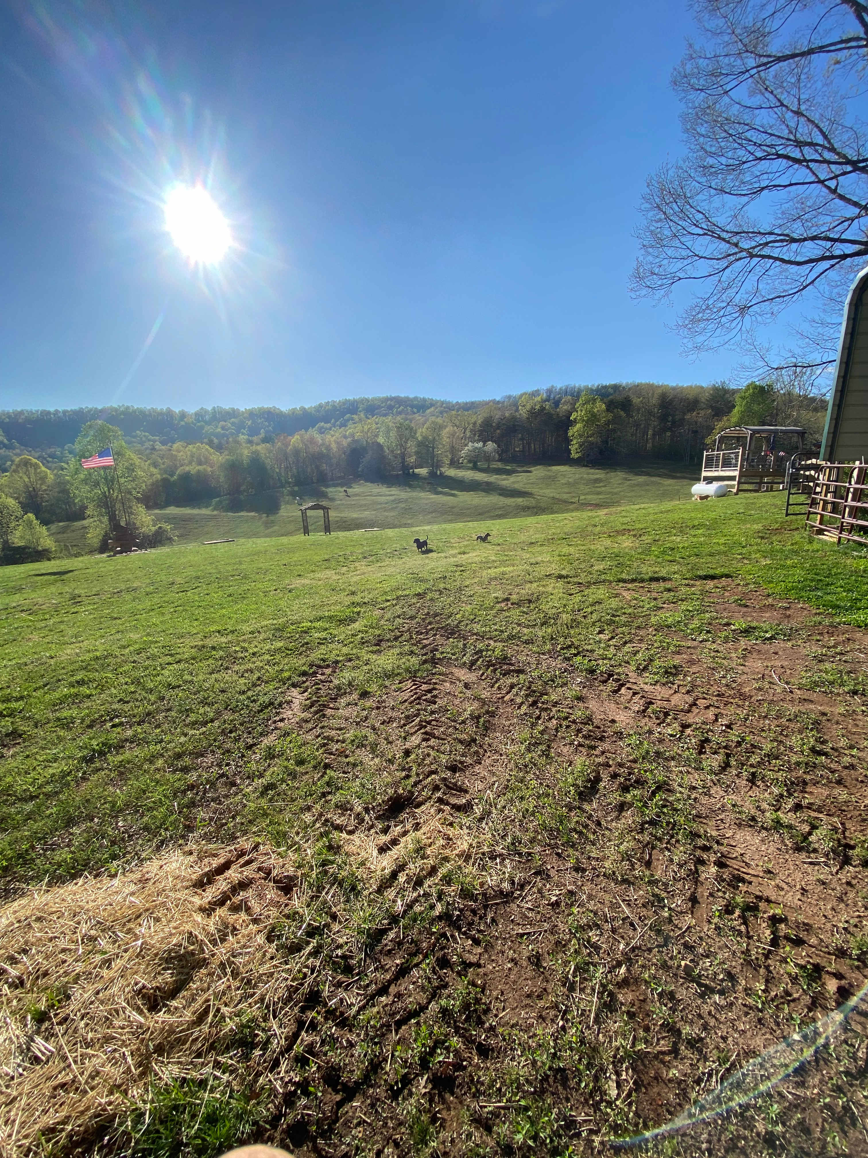 Picture of the site