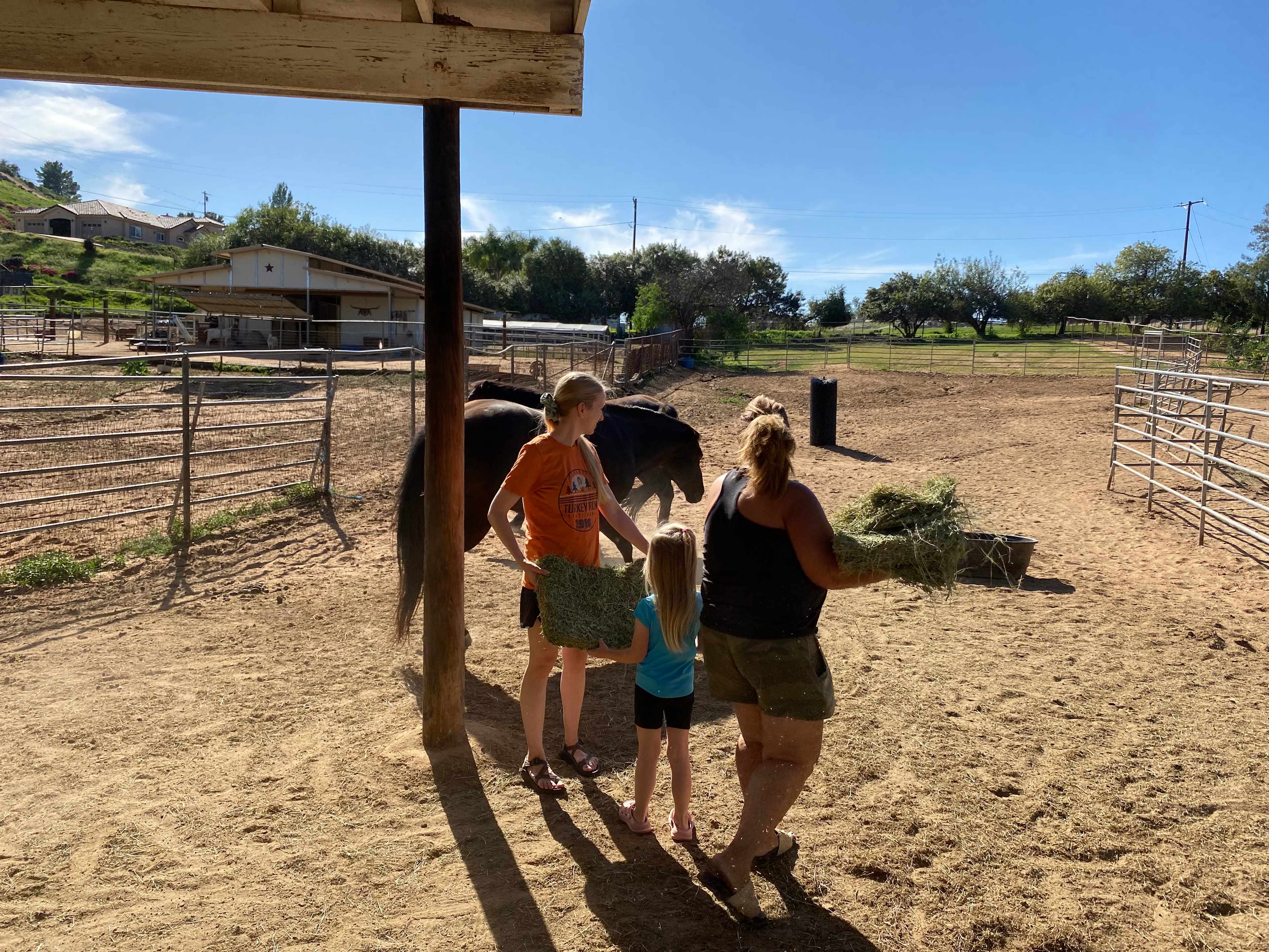 2 The Rescue Animal Sanctuary