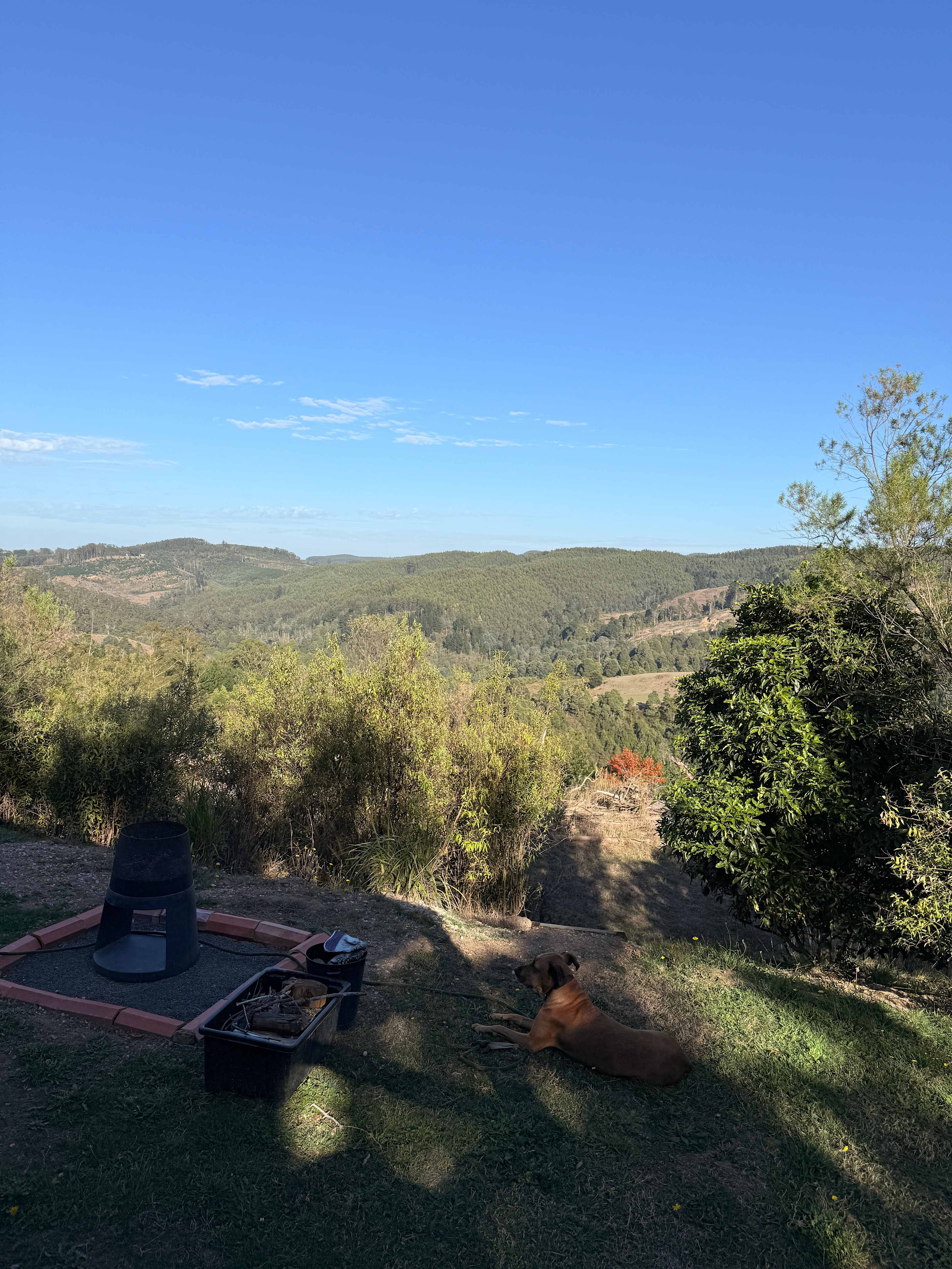 Tiny Castle at Tynecastle Park