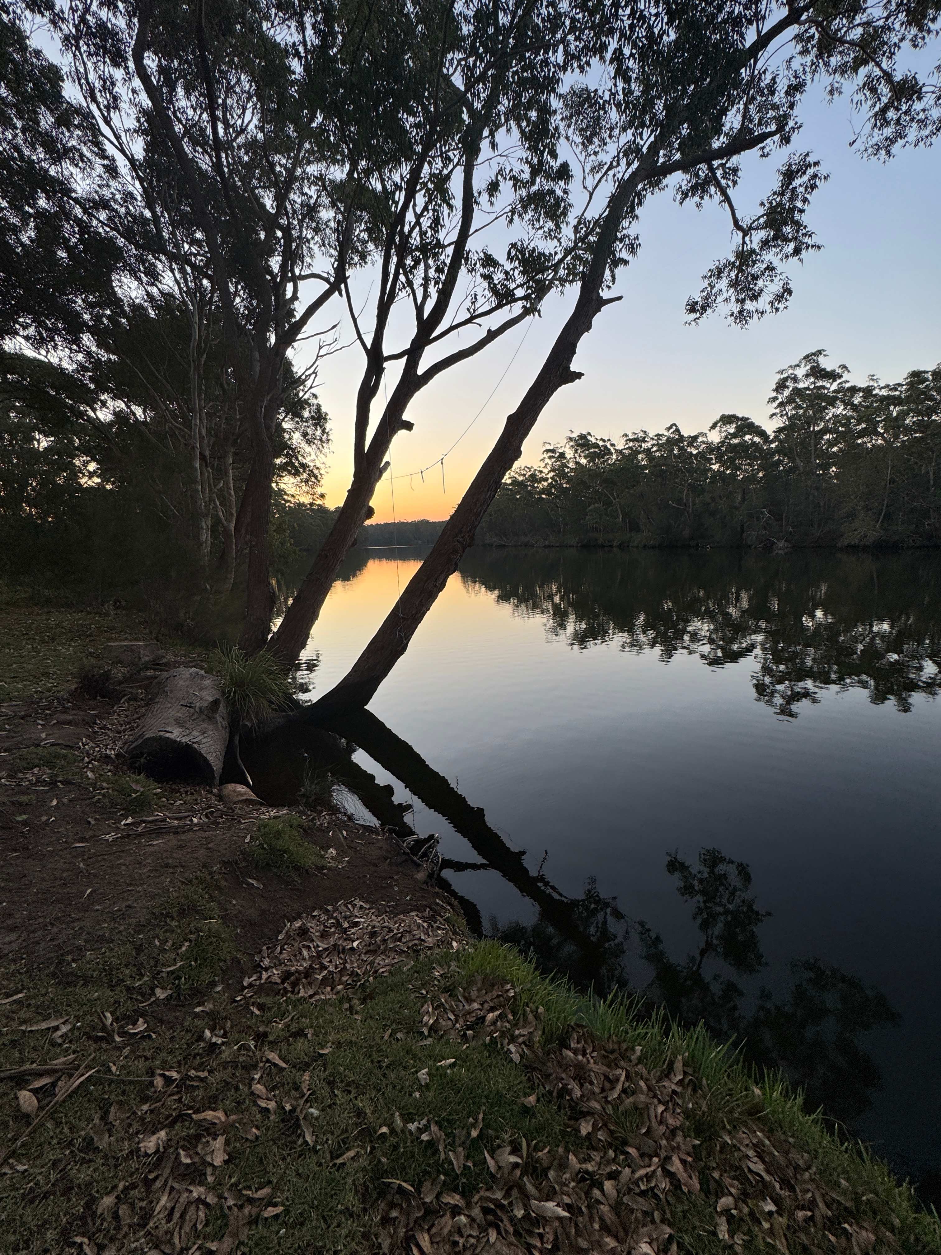 Beautiful Sunset