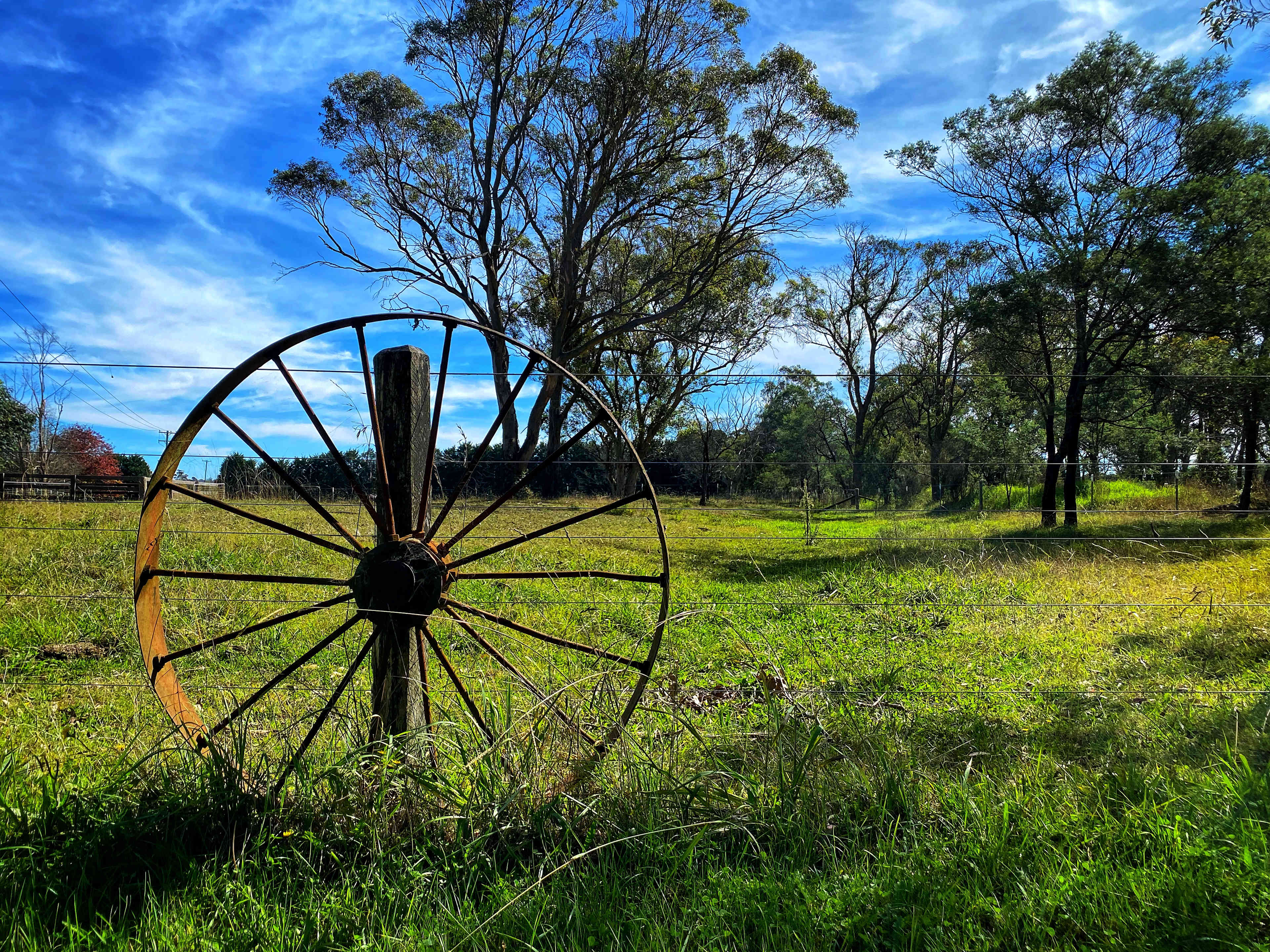 Lots of cool things to see around the beautiful property 