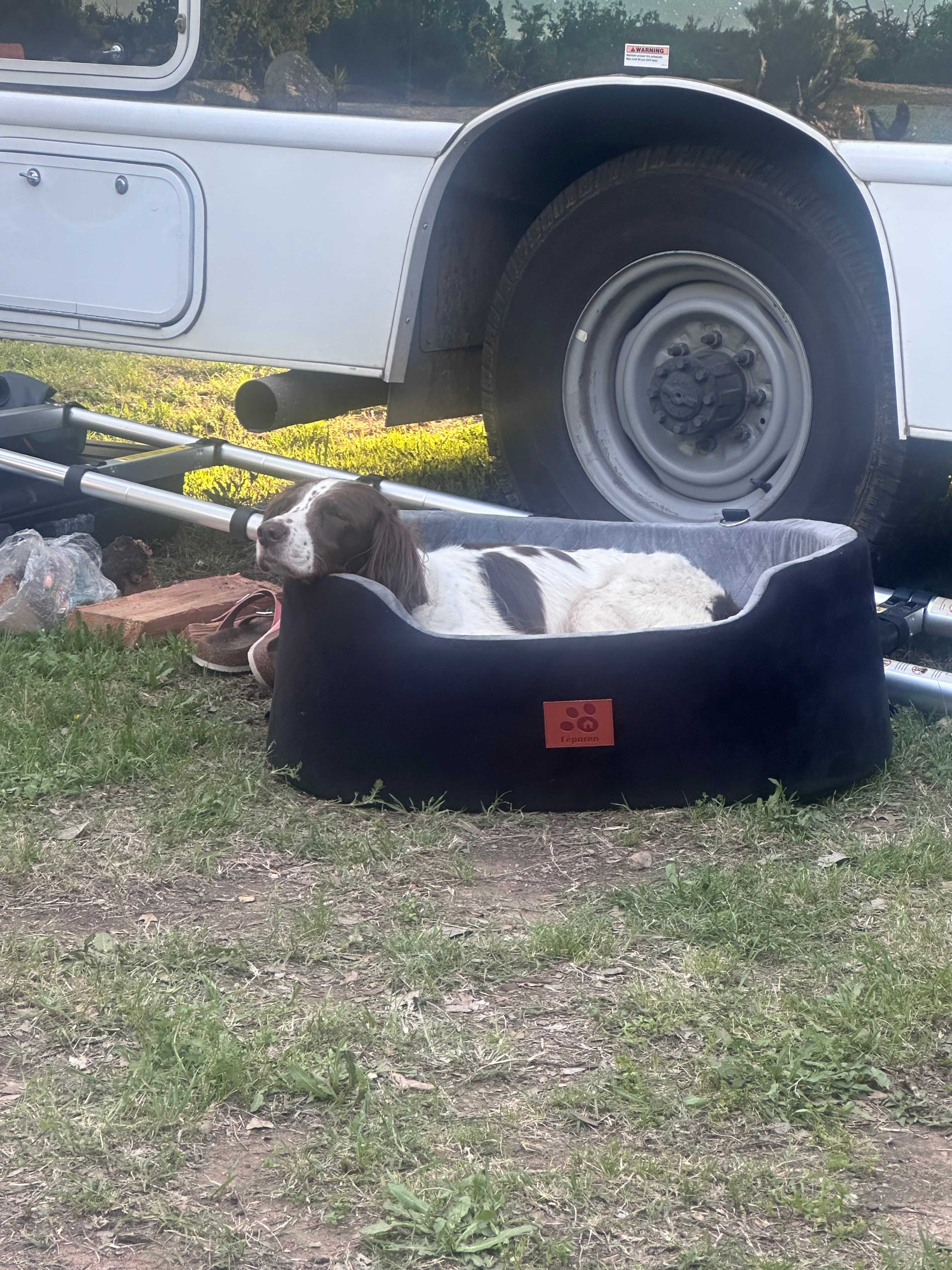 Burgers Lake Camping