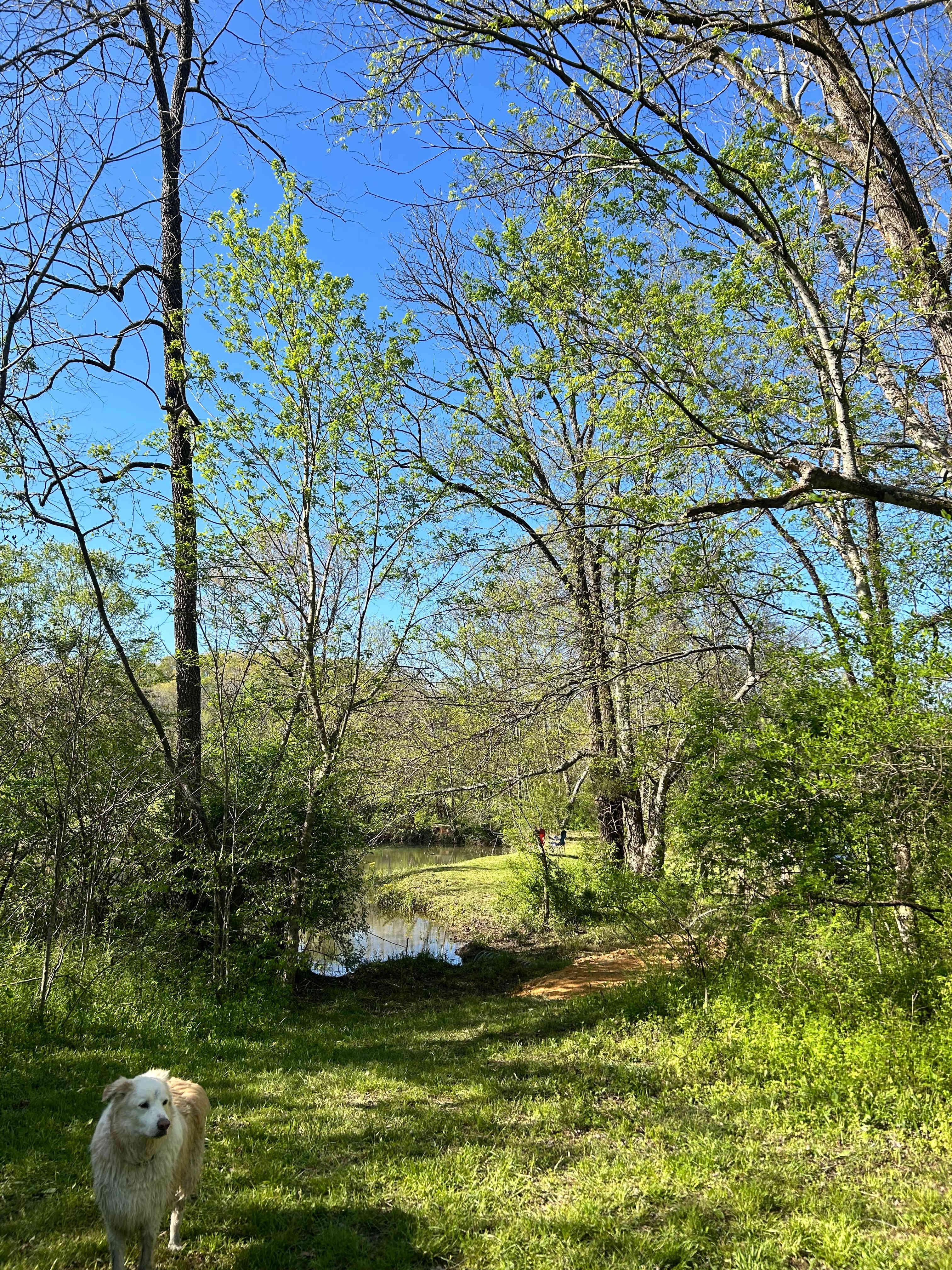 Highland Realm Farm