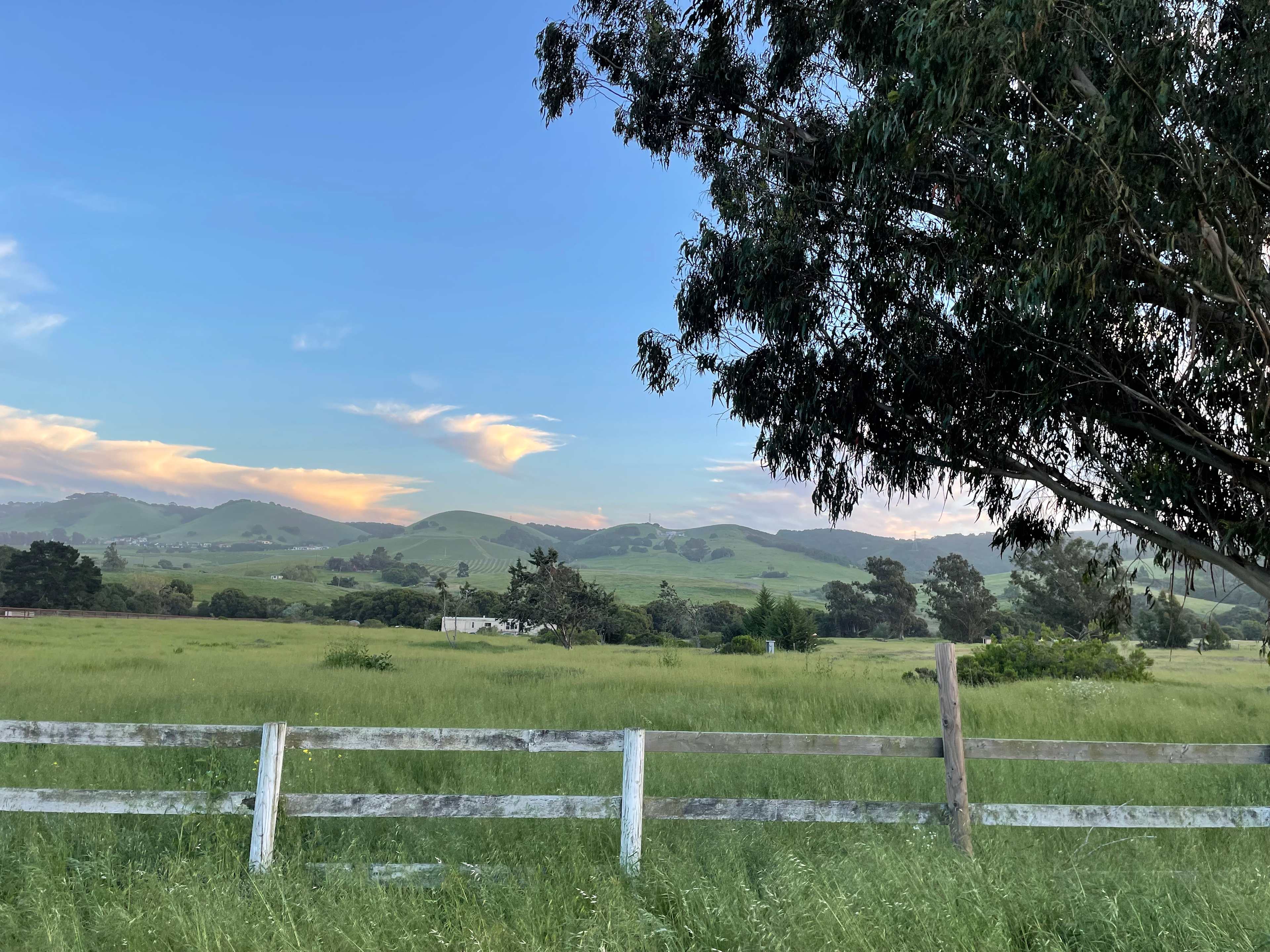 SLO Country Camp