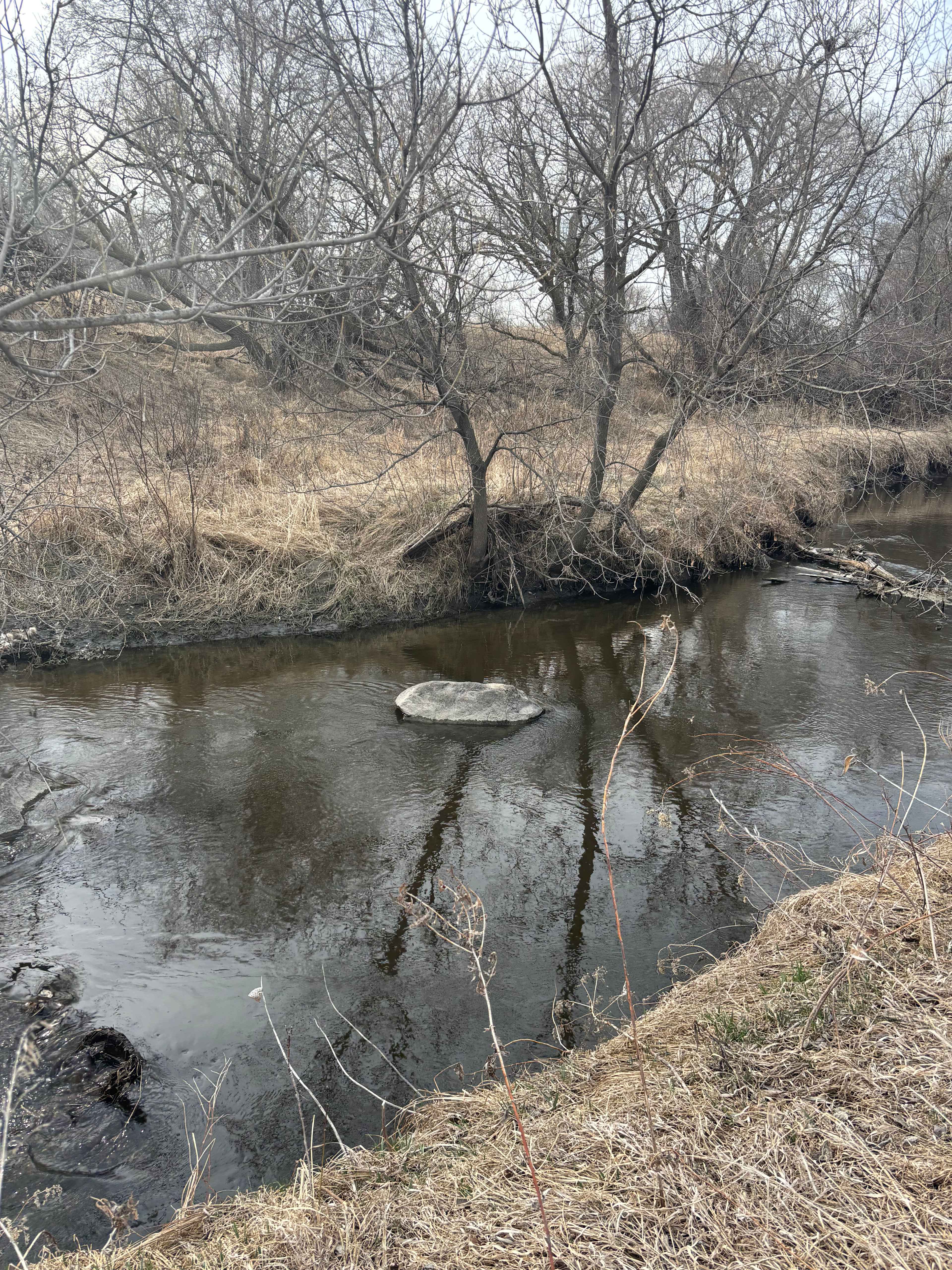 Spring view of the creek by the campsite 