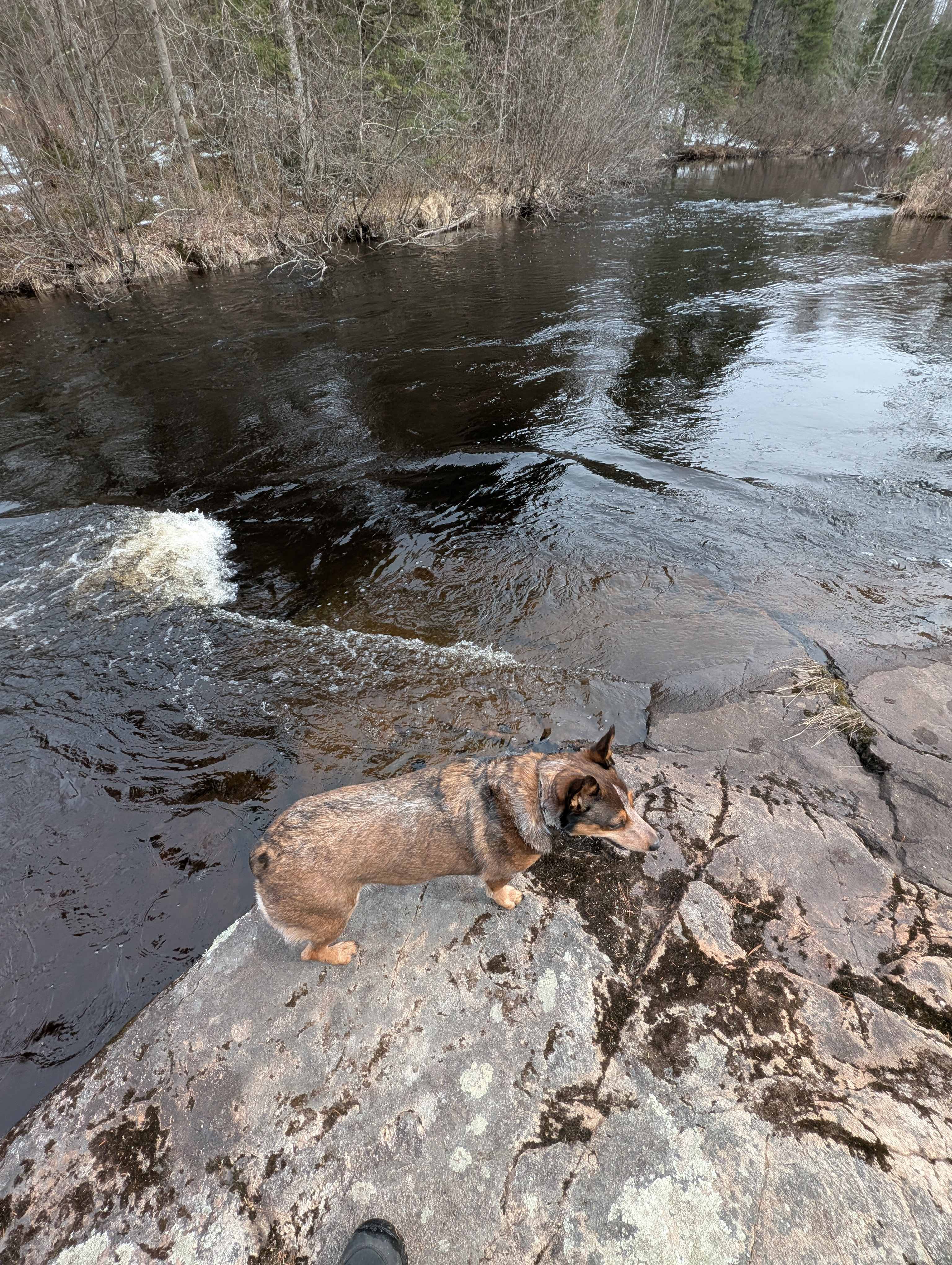 Bad River Wilderness