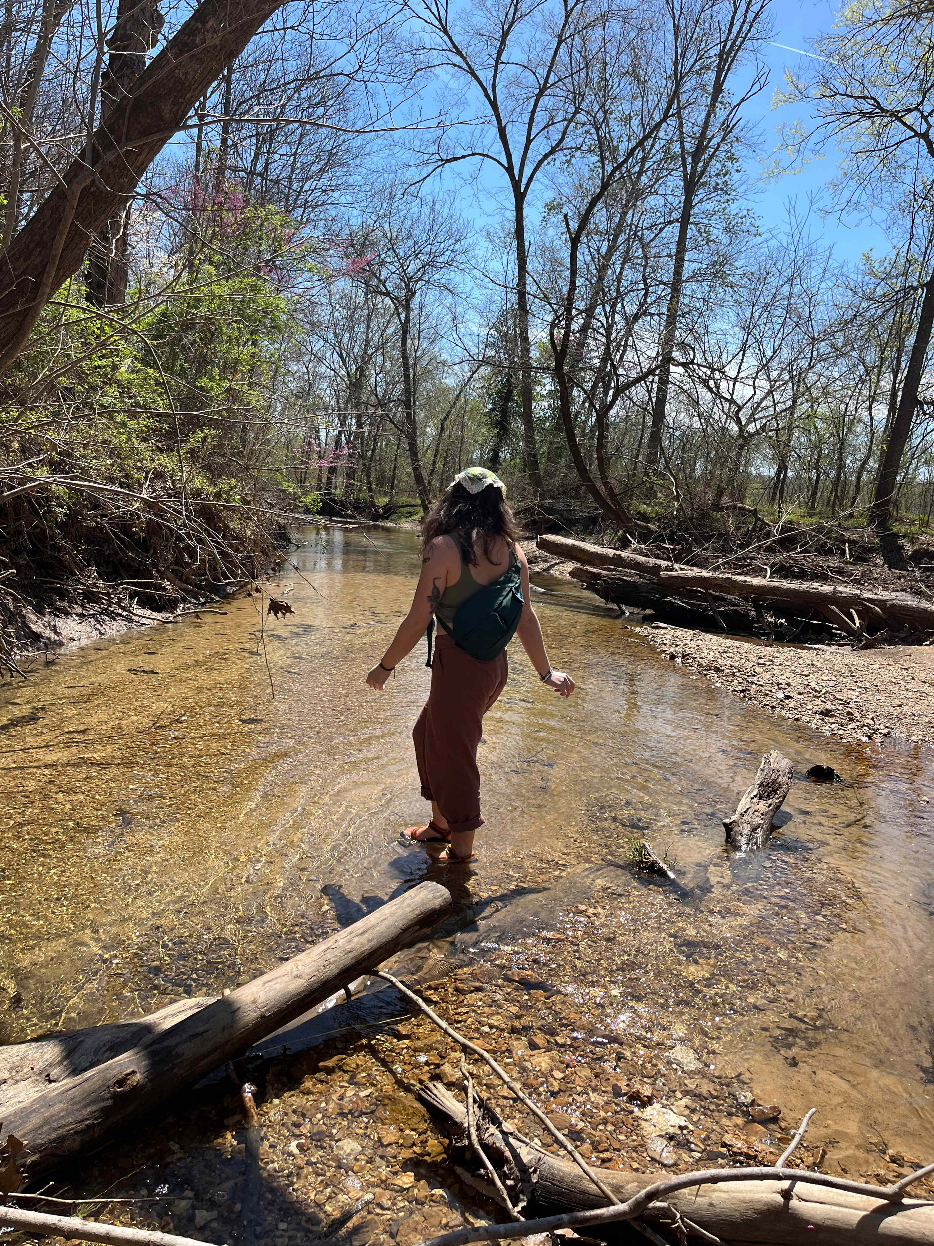 Hummingbird Hollow Outdoors