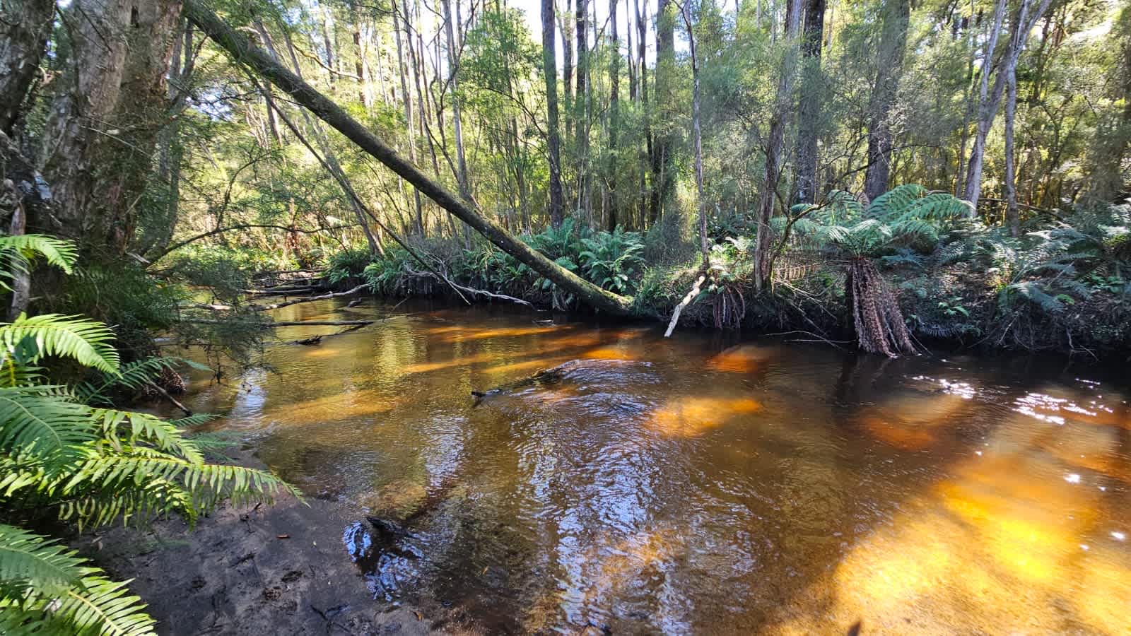 Organic Farm & Riverside Camping