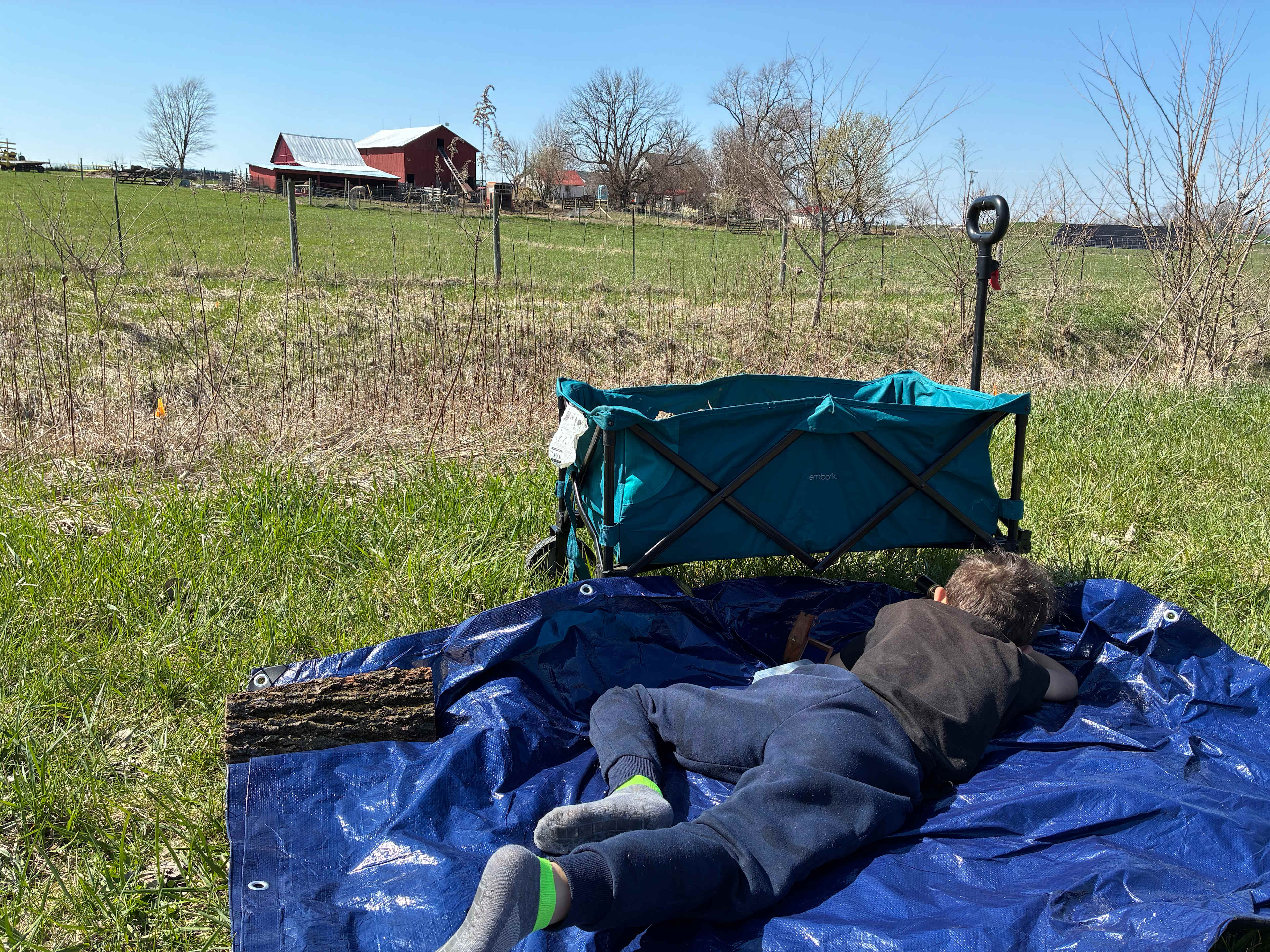 My son spying donkey with a scope