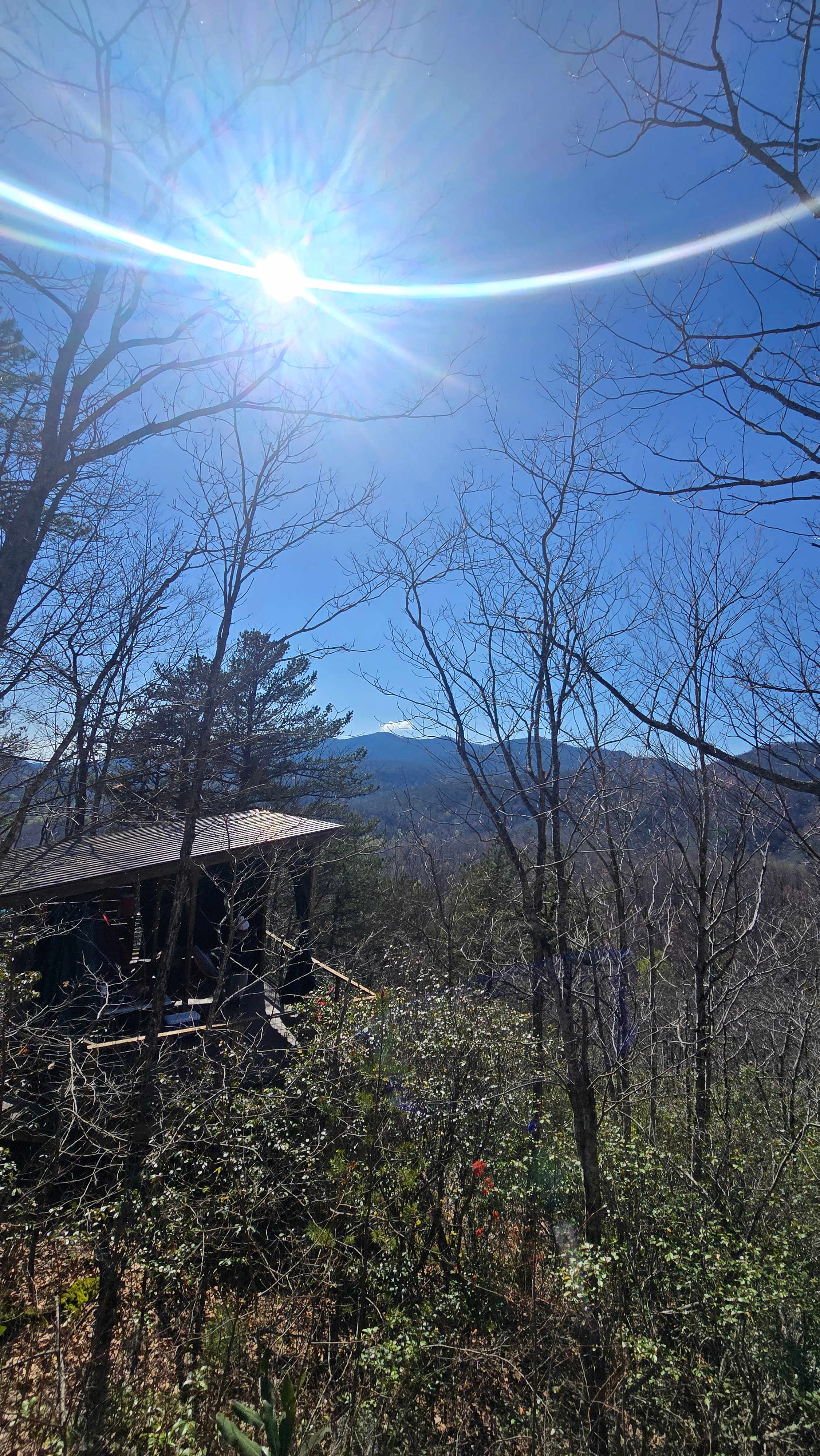 Above the Fray Glamping, Black Mtn.