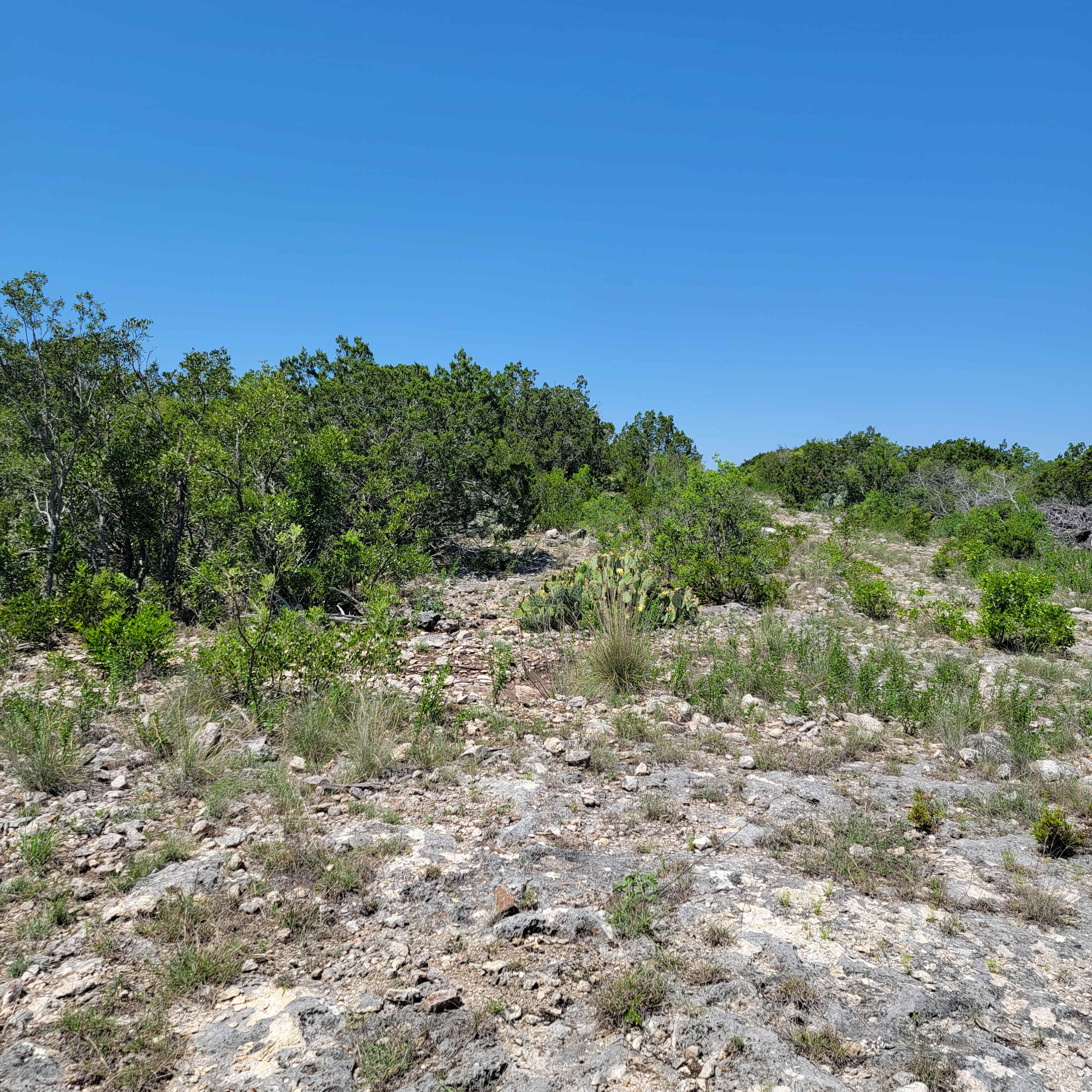 Hiker's Escape on 6,000 Acre Ranch