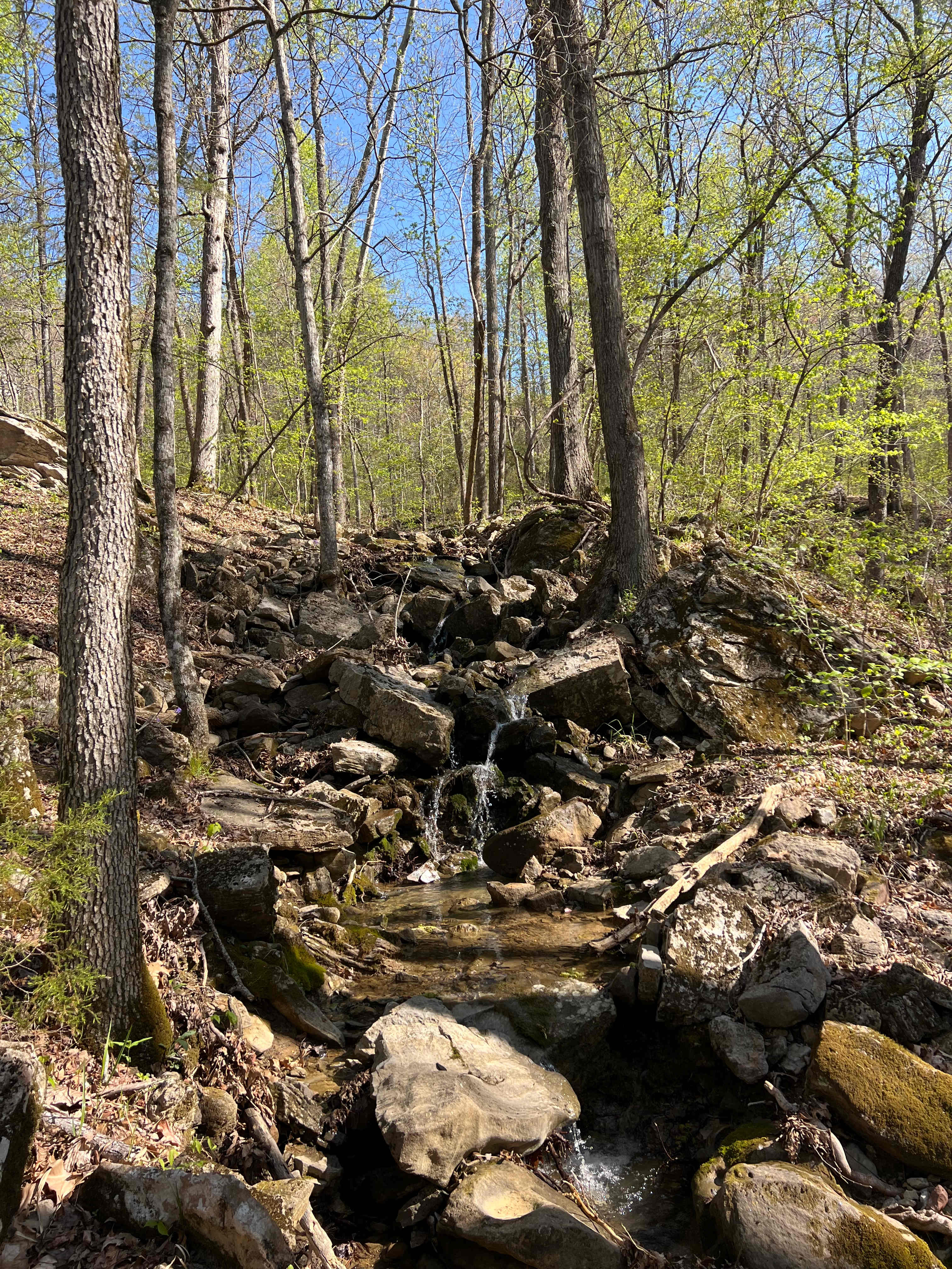 Enchanted Ozark Fairytale Camp