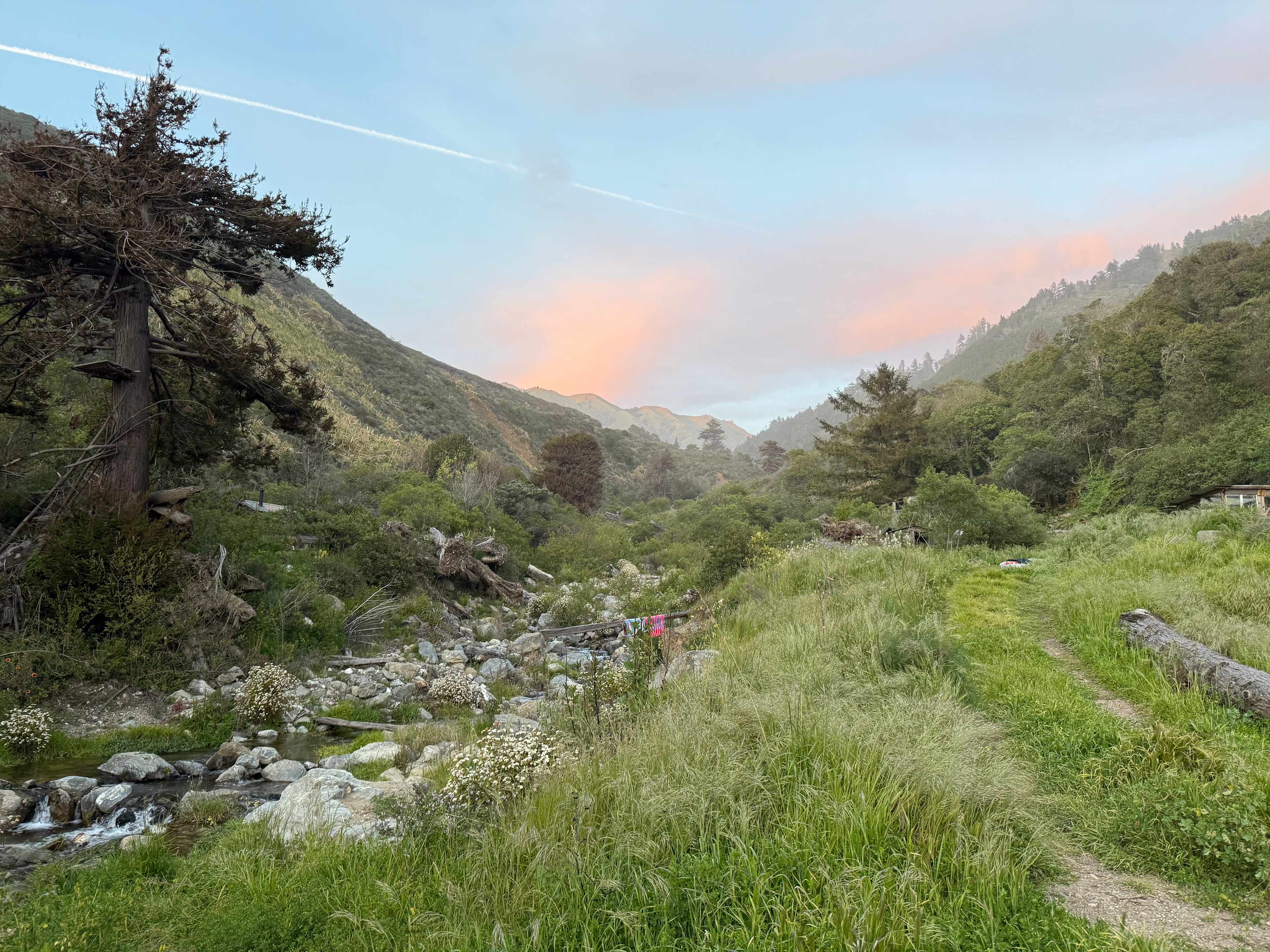 dabudage Big Sur