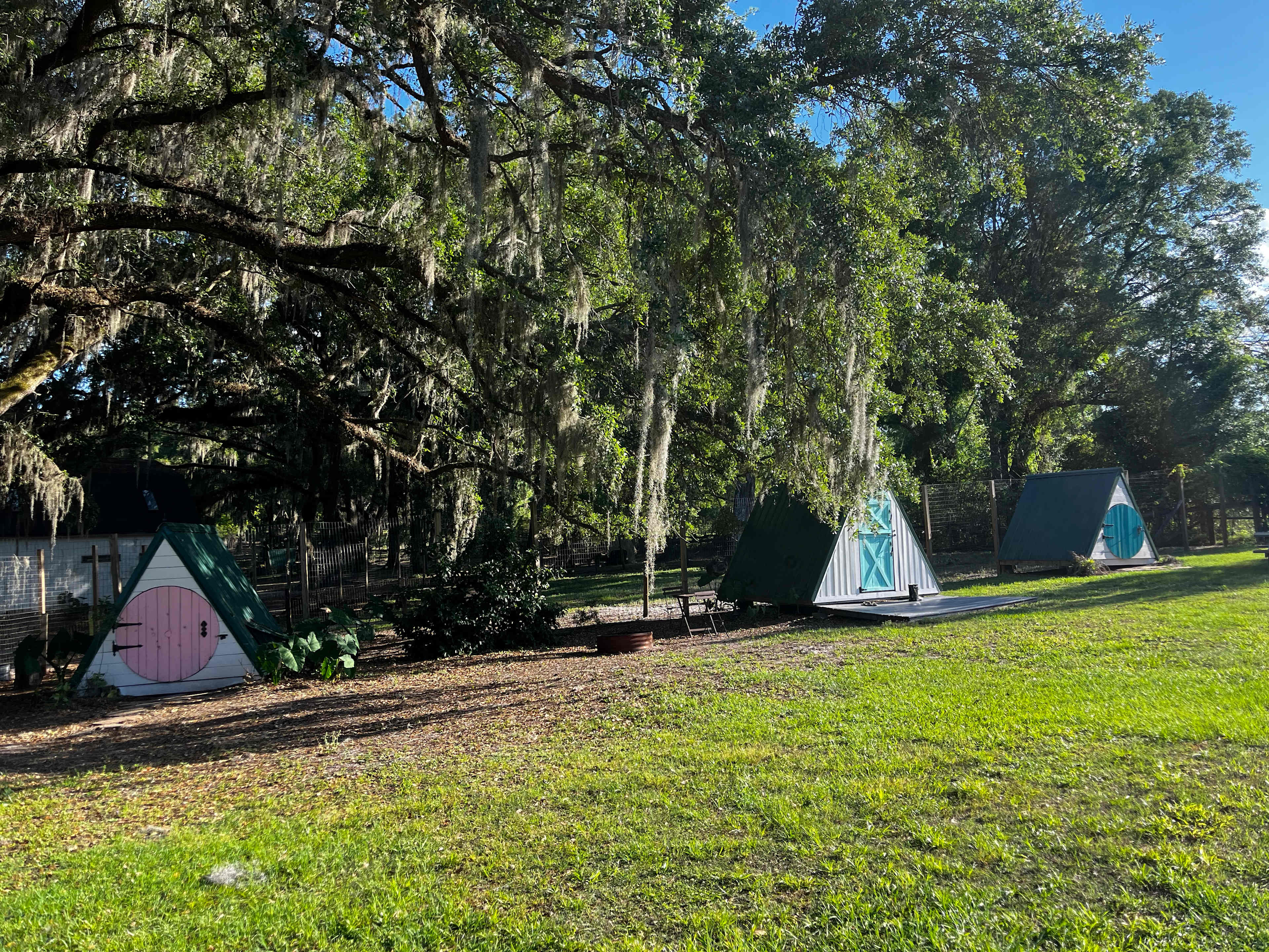 Enchanted Oaks Camp & Farm