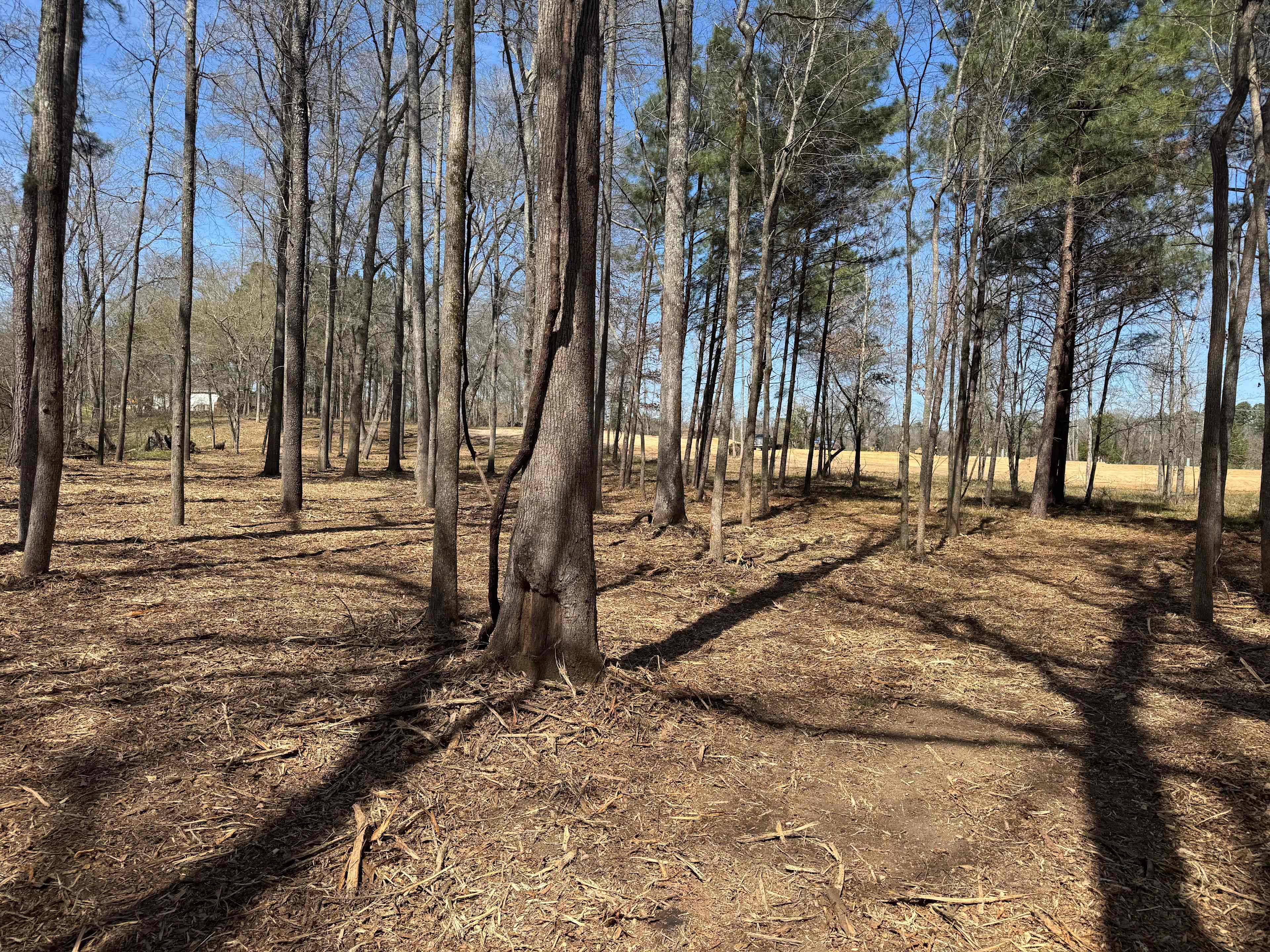 Wards Creek Ranch and RV