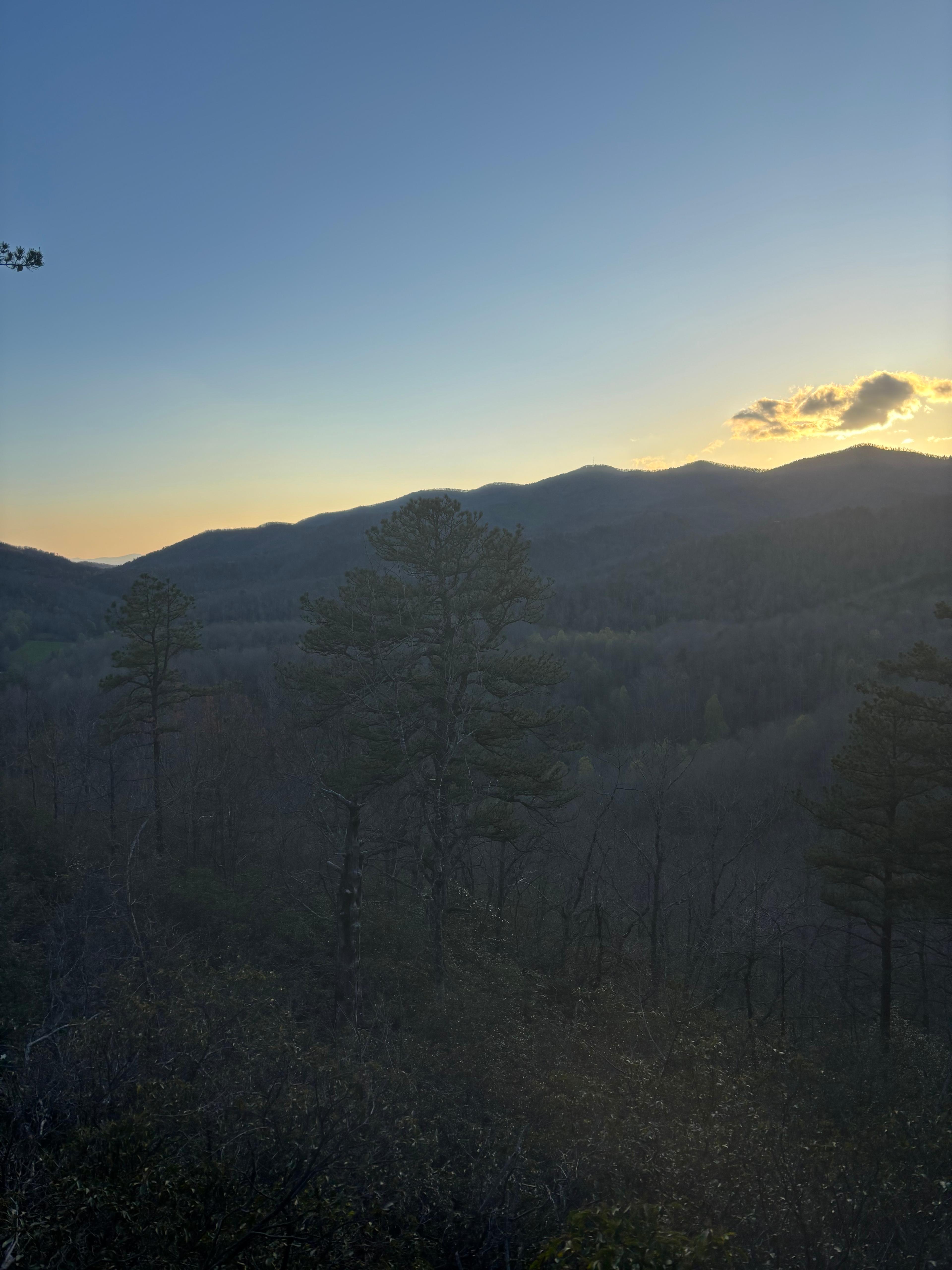 Above the Fray Glamping, Black Mtn.