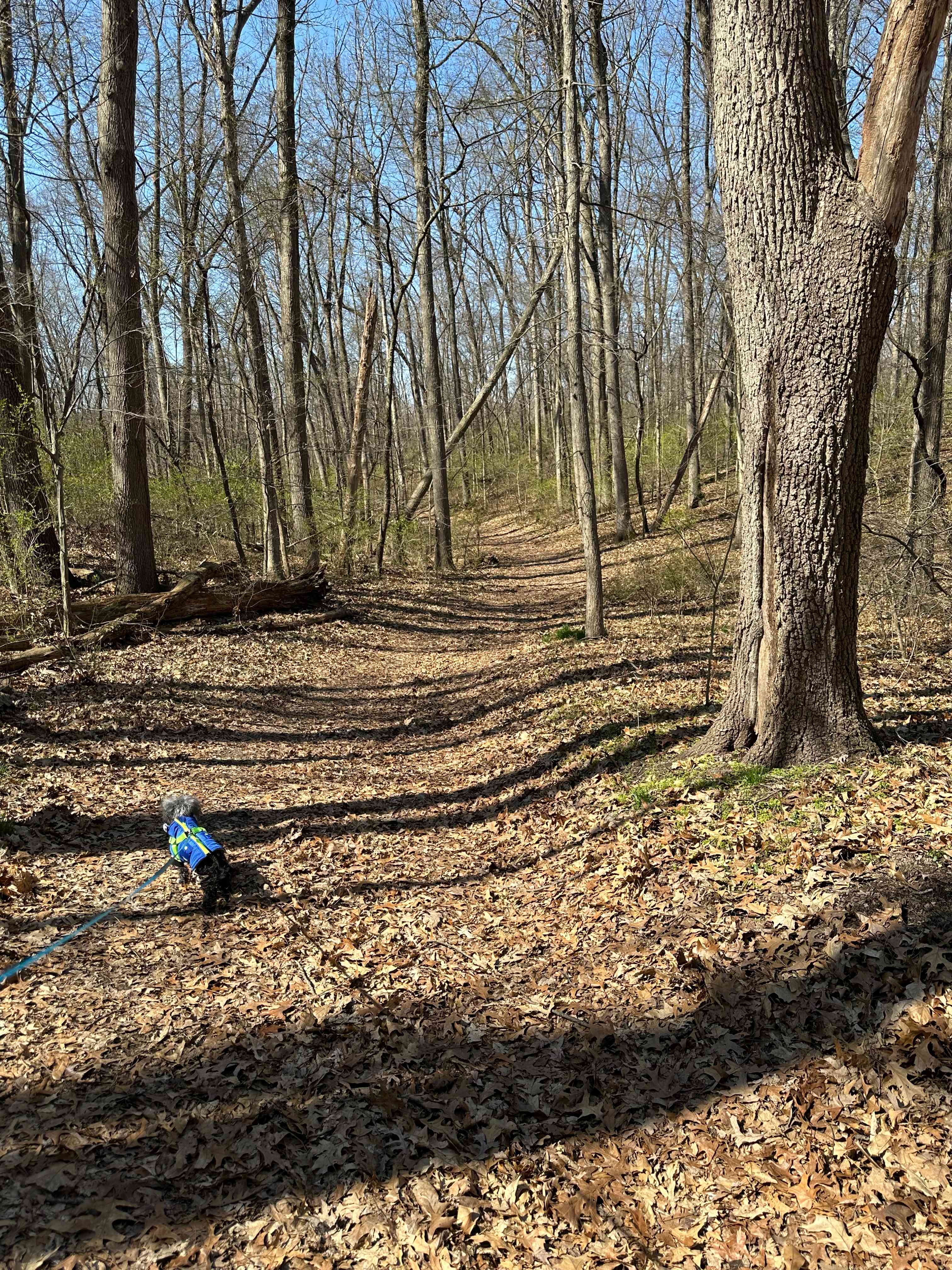 Walnut Valley Realm Campground