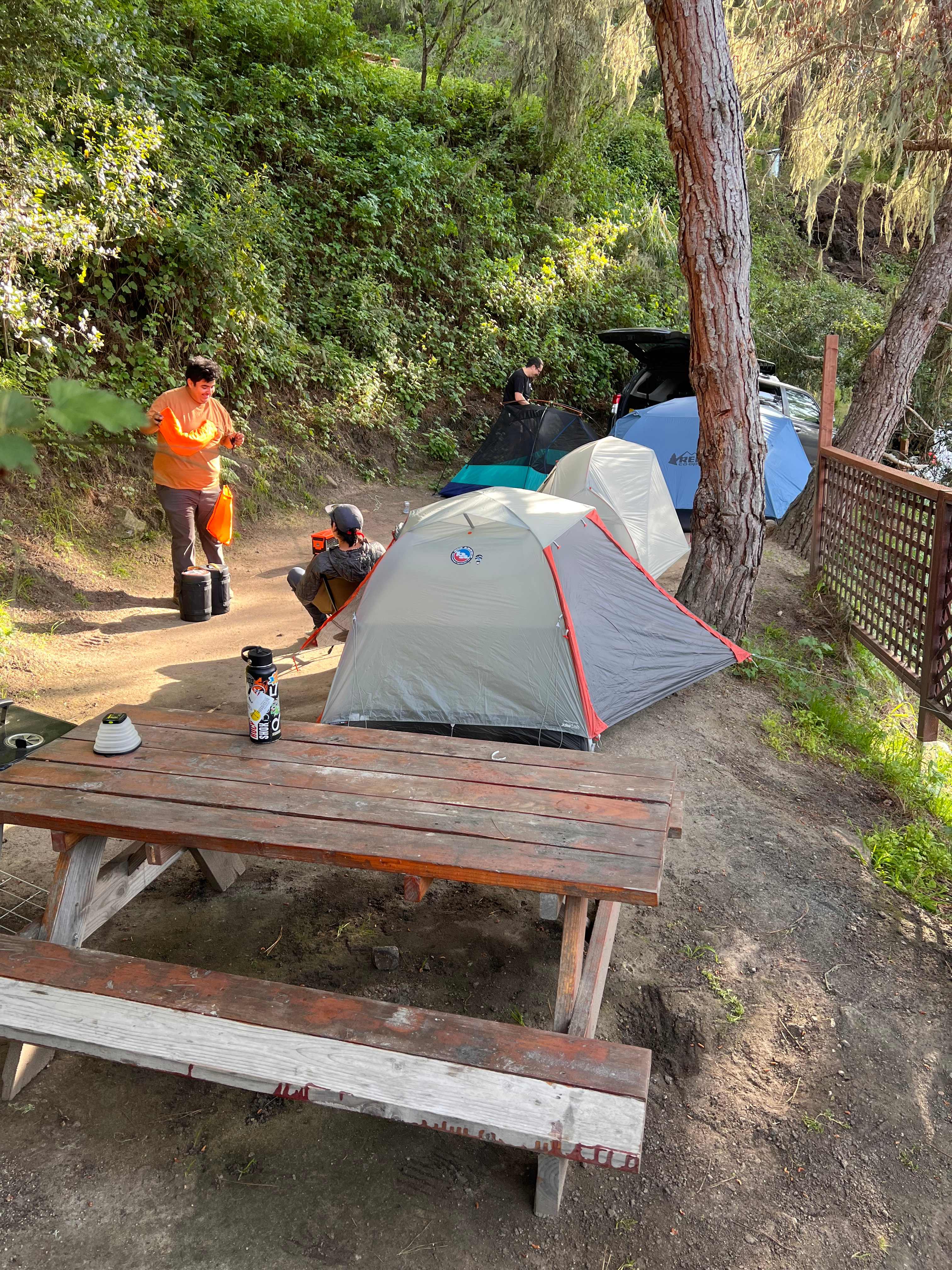 Saddle Mountain Carmel