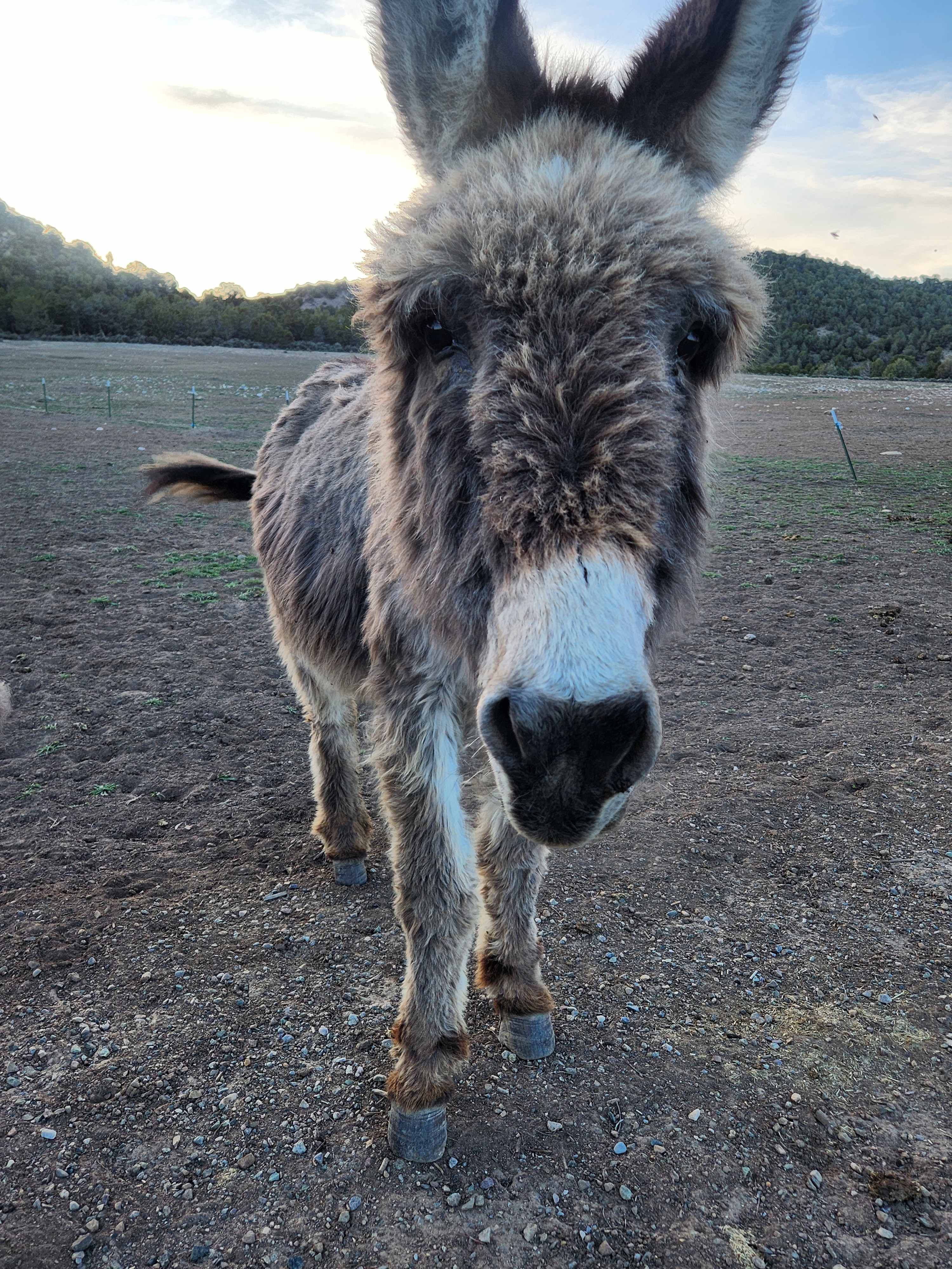 Linda M.’s Santa Rita Ranch