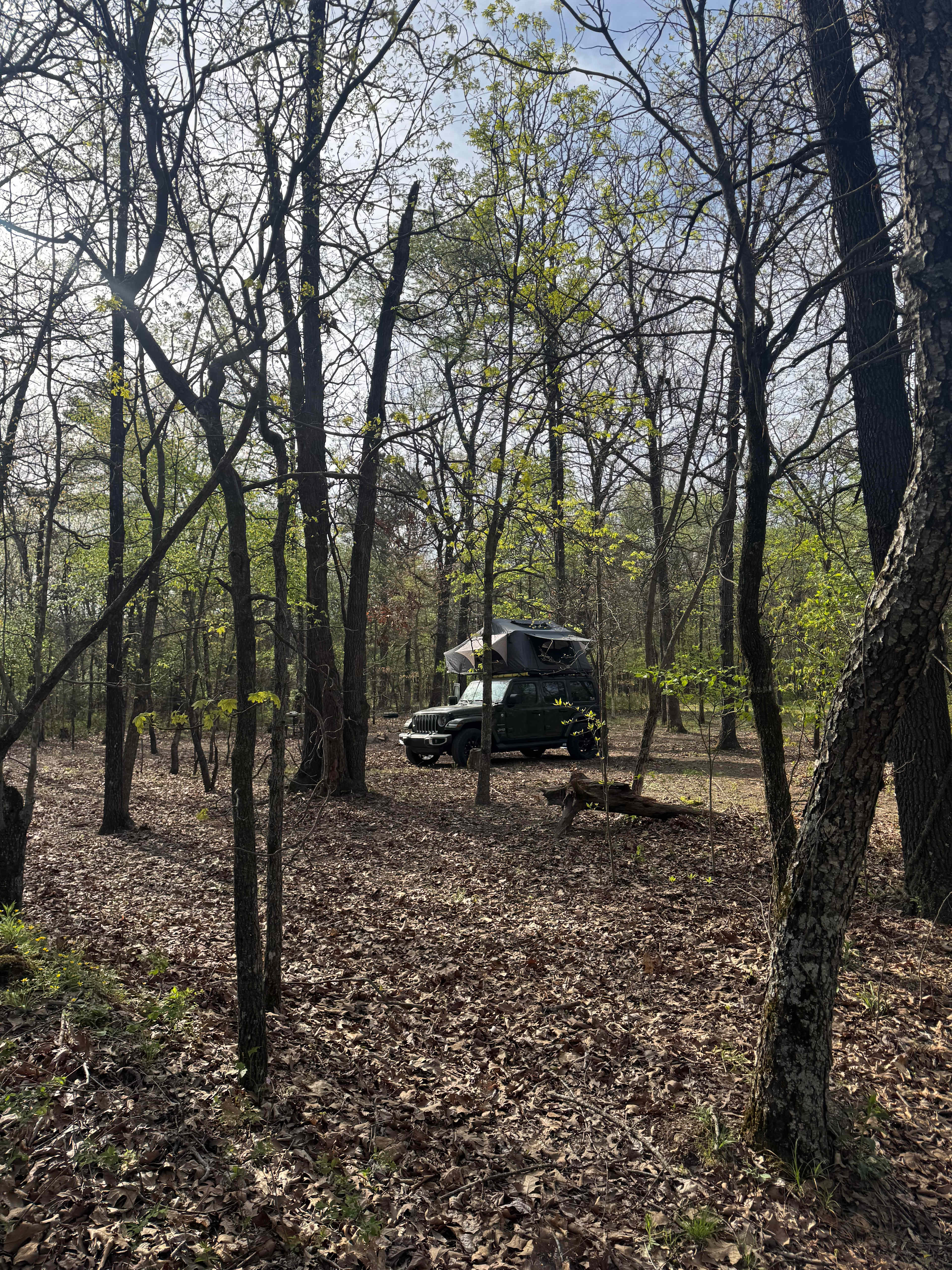 Lake Frances Campsites