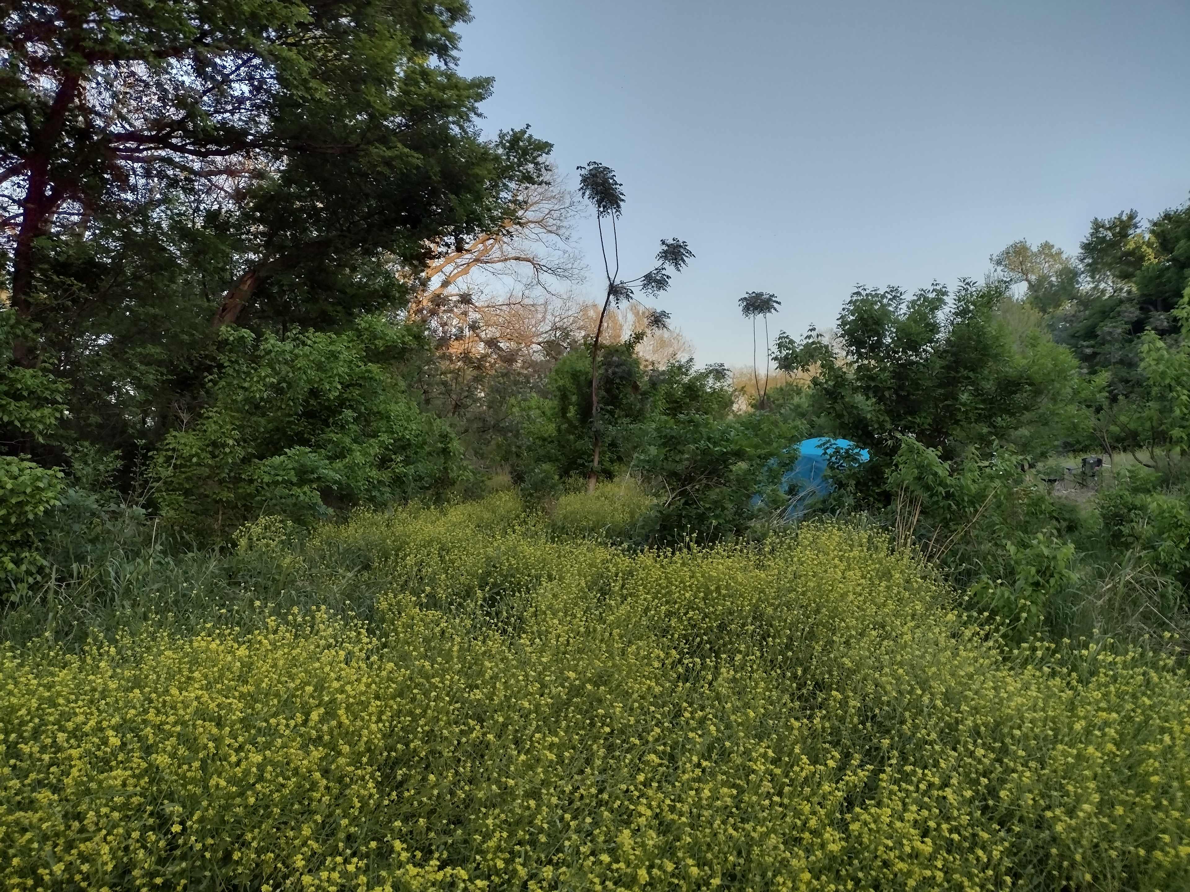 P² Farm | Scenic River Camping