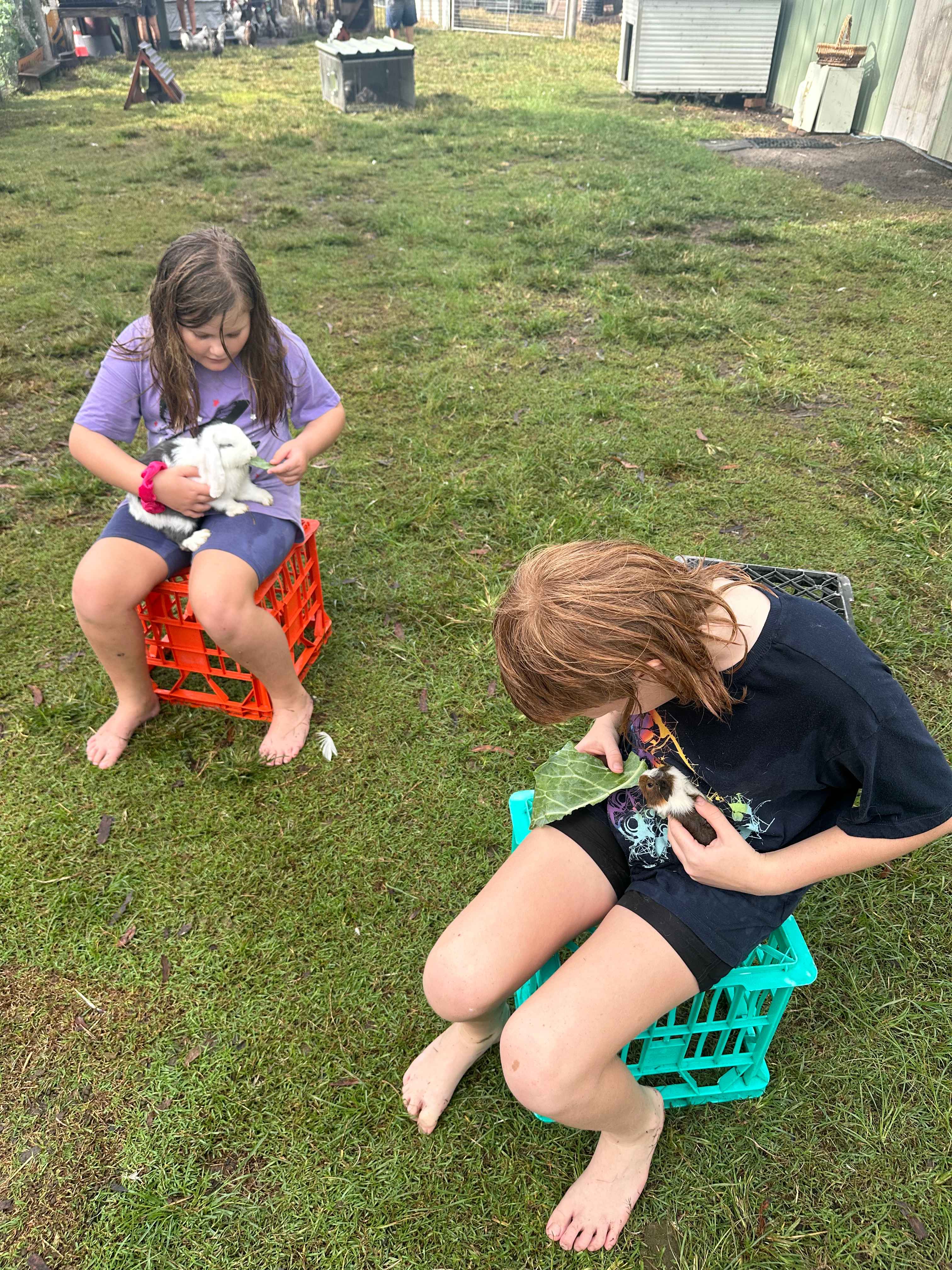 The Hatch Farm - Port Macquarie