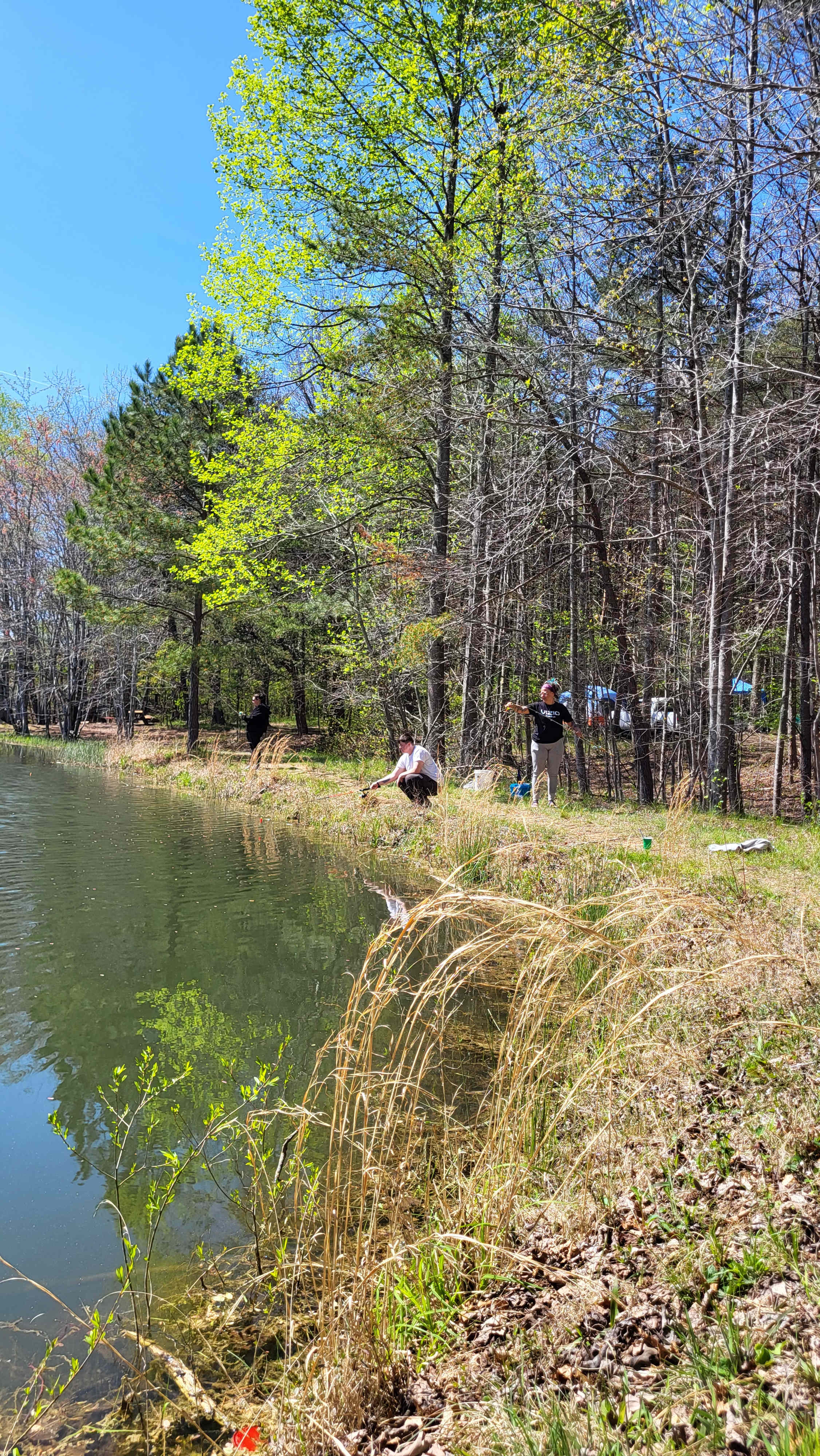 Woodybrooke Farm Campground