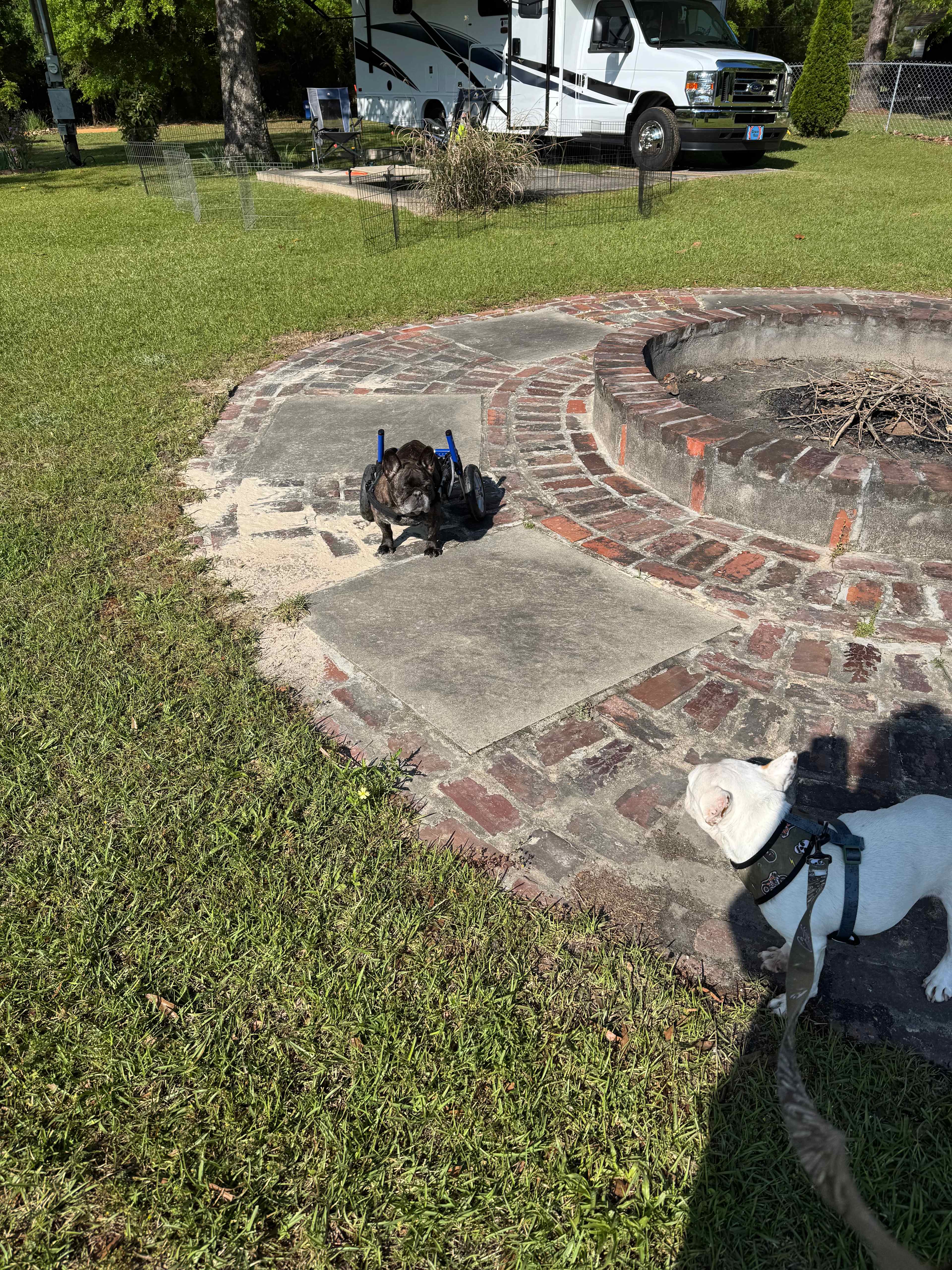 Firepit and plenty of space to roam. 