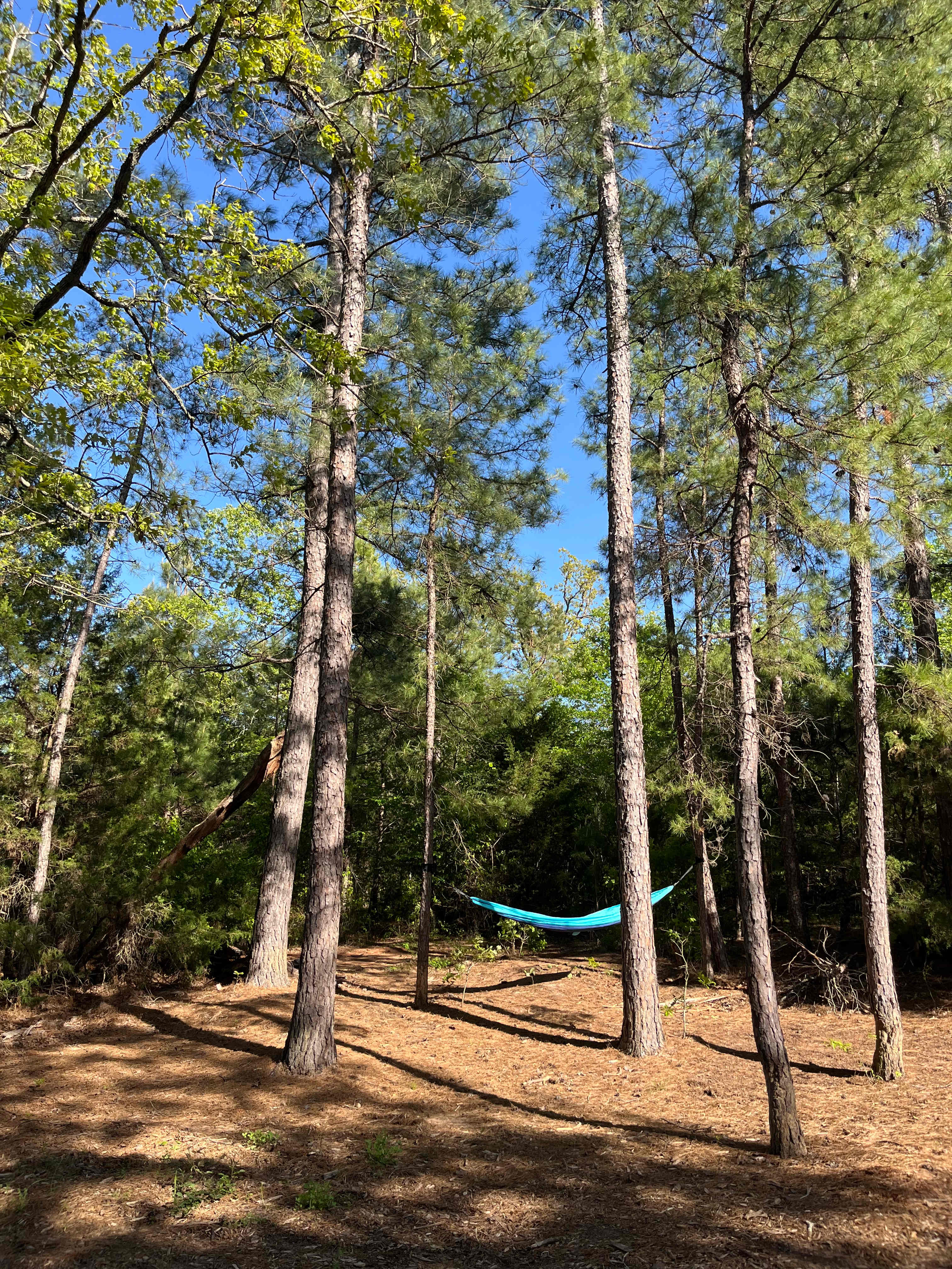The Retreat @ Borah Farm