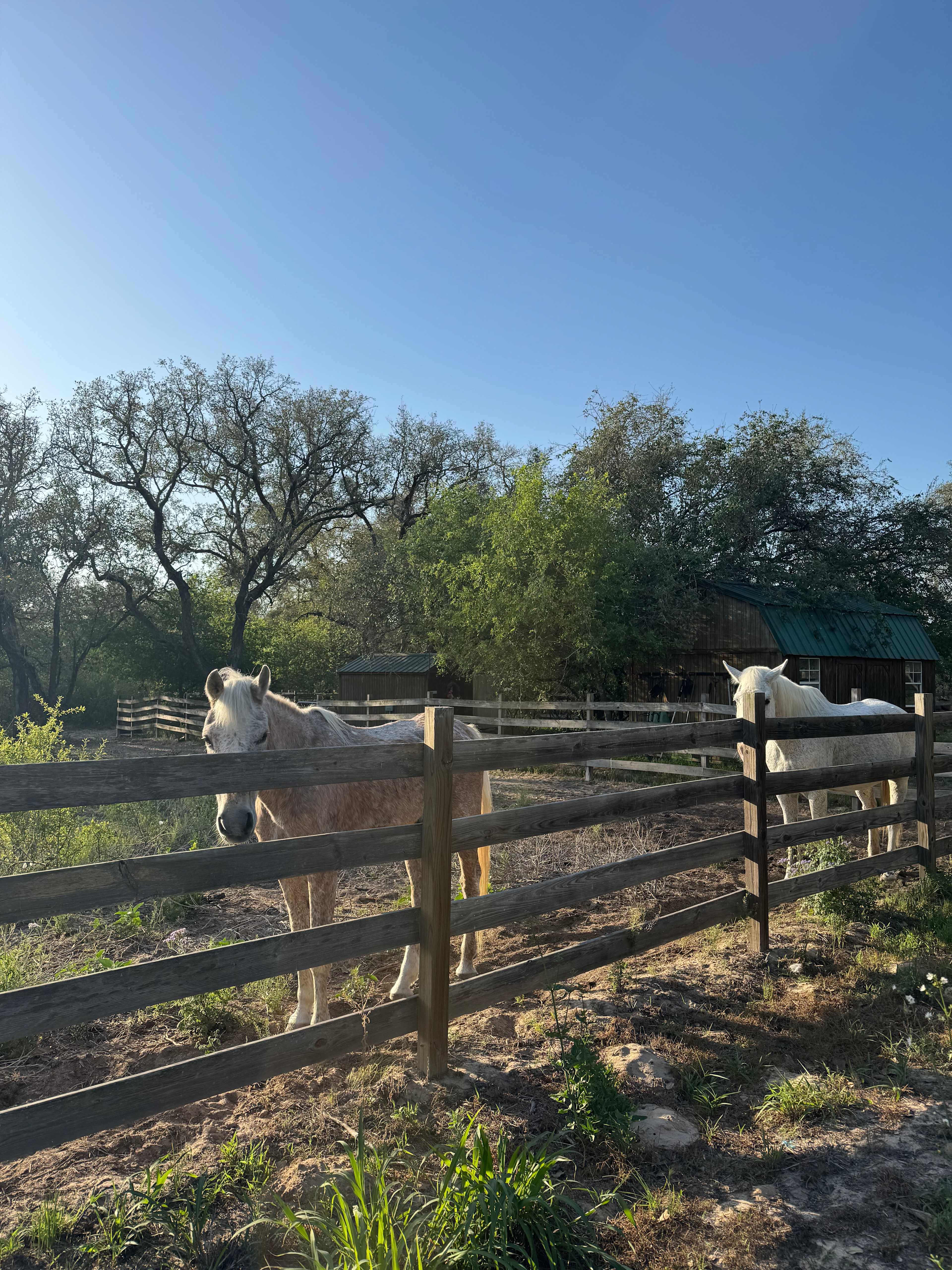 Mockingbird Farms
