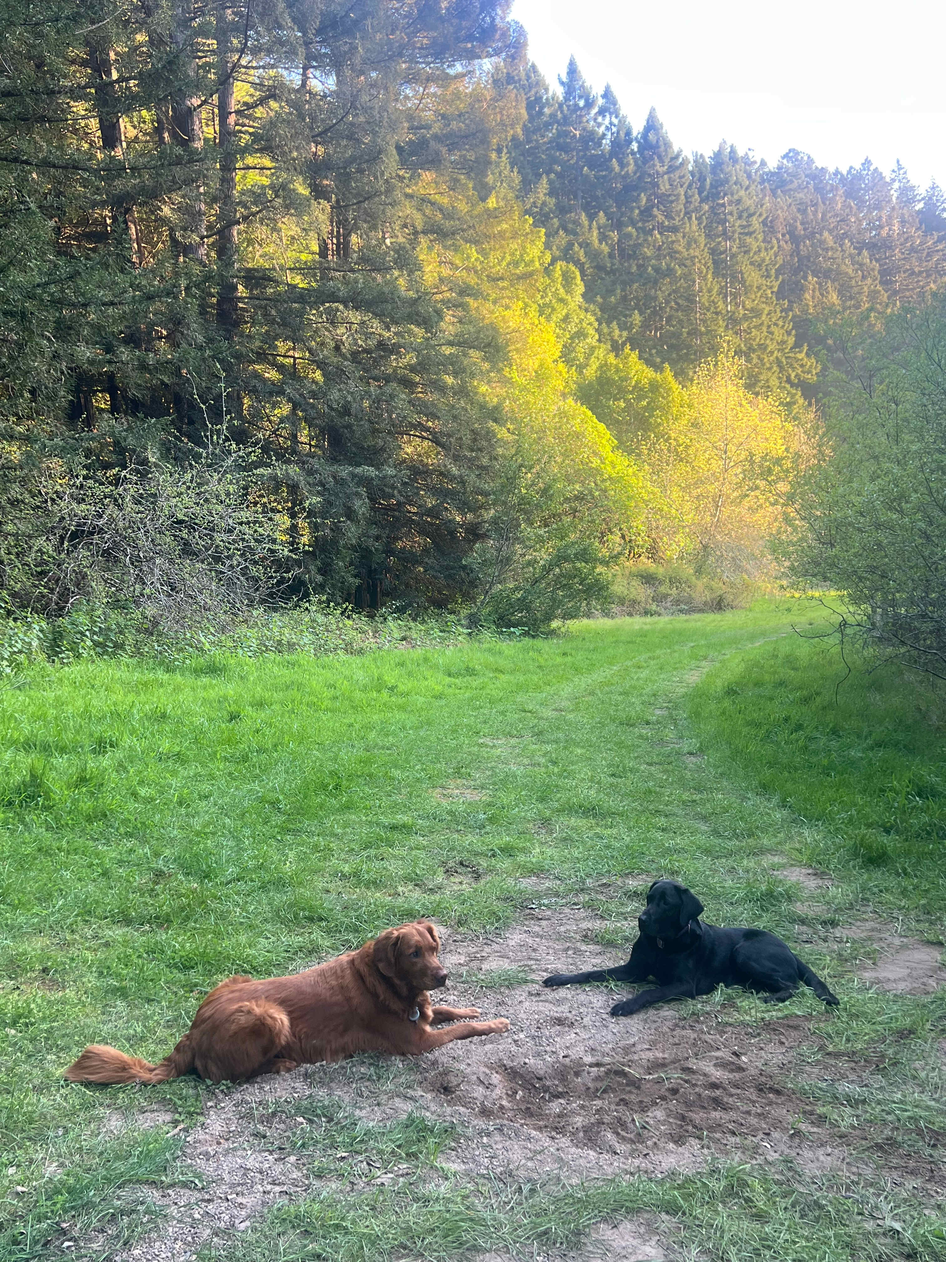 Salmon Creek Ranch