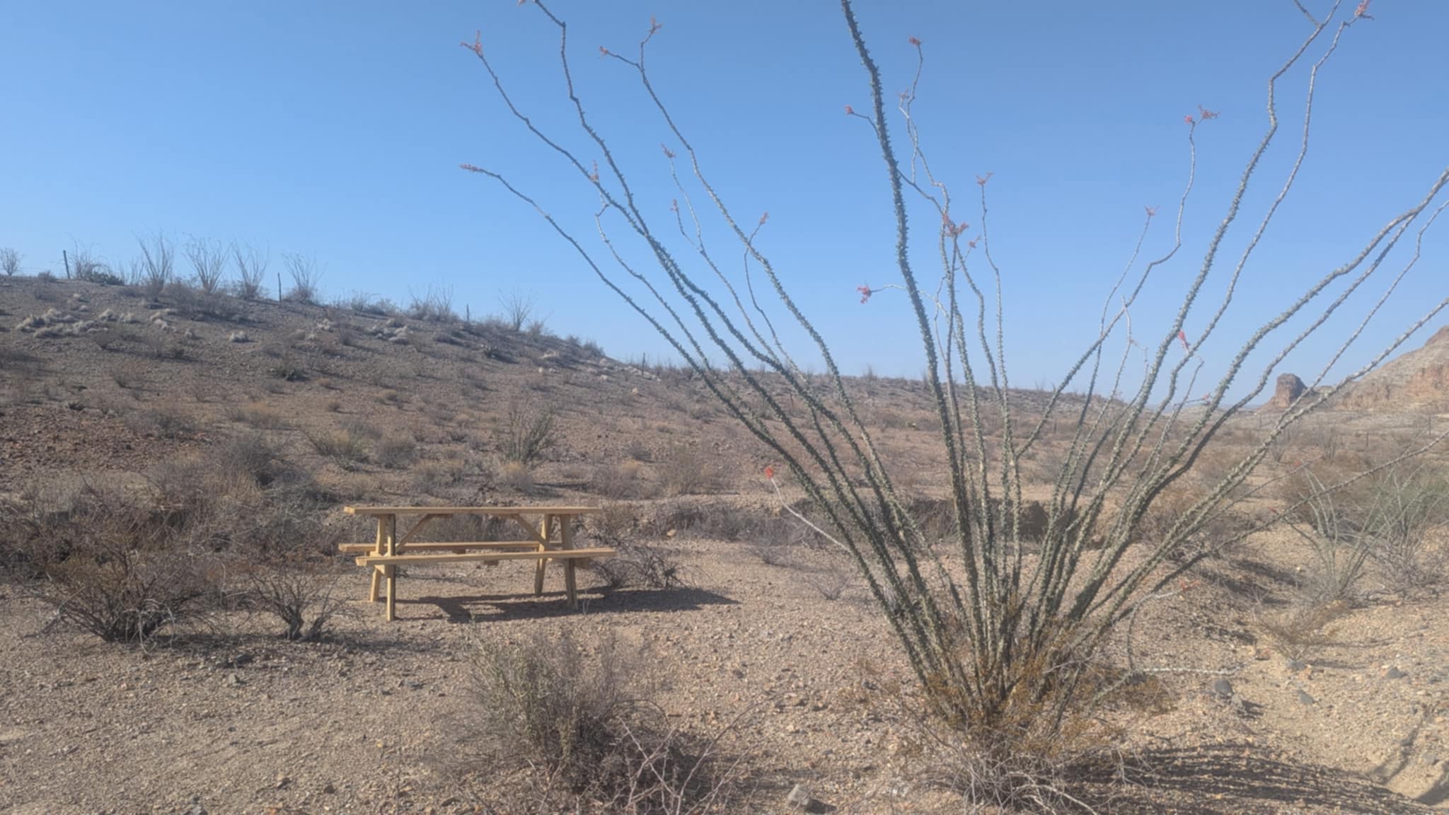 Willow Creek Camping Company
