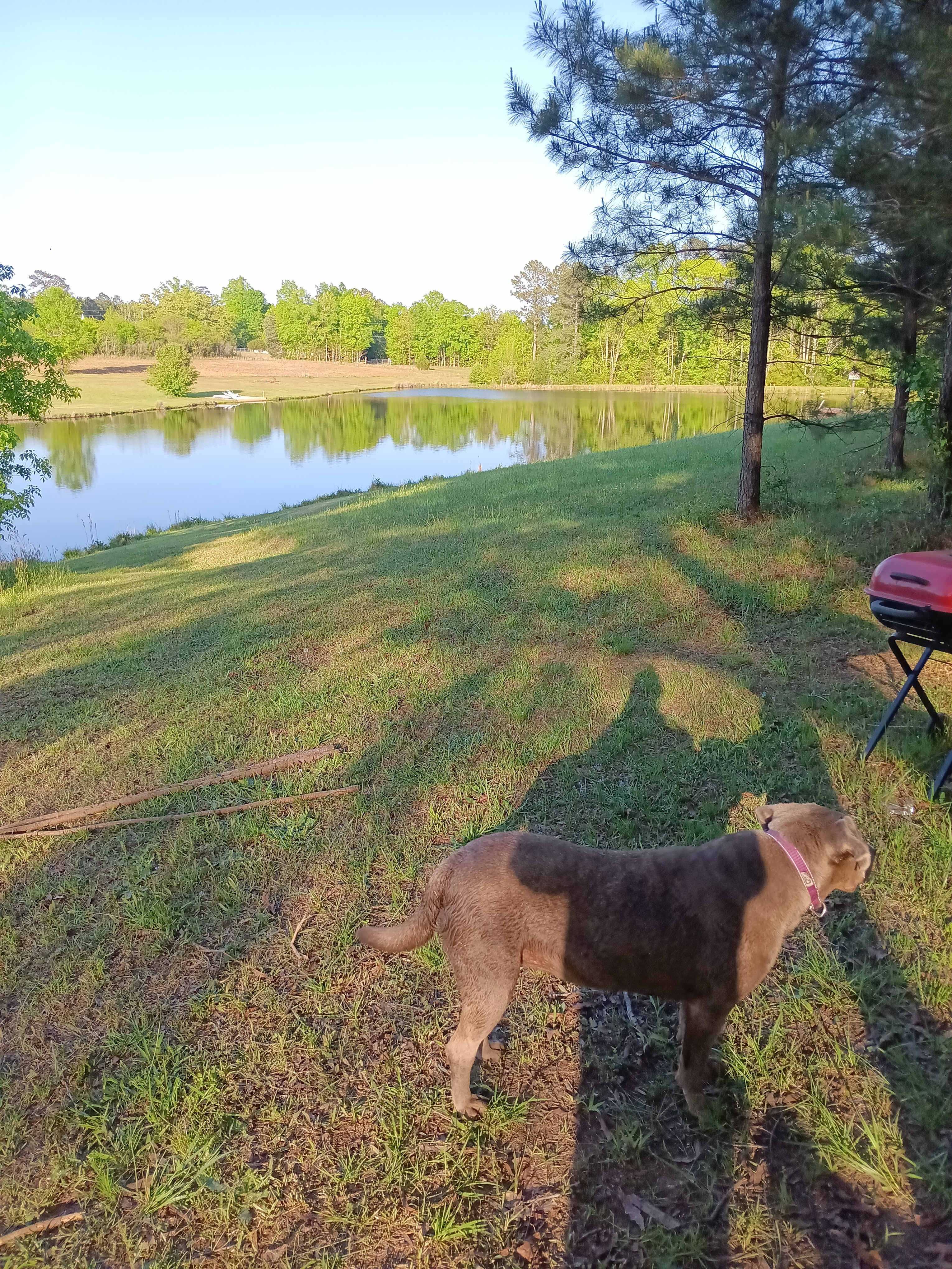 Leach Homestead campground