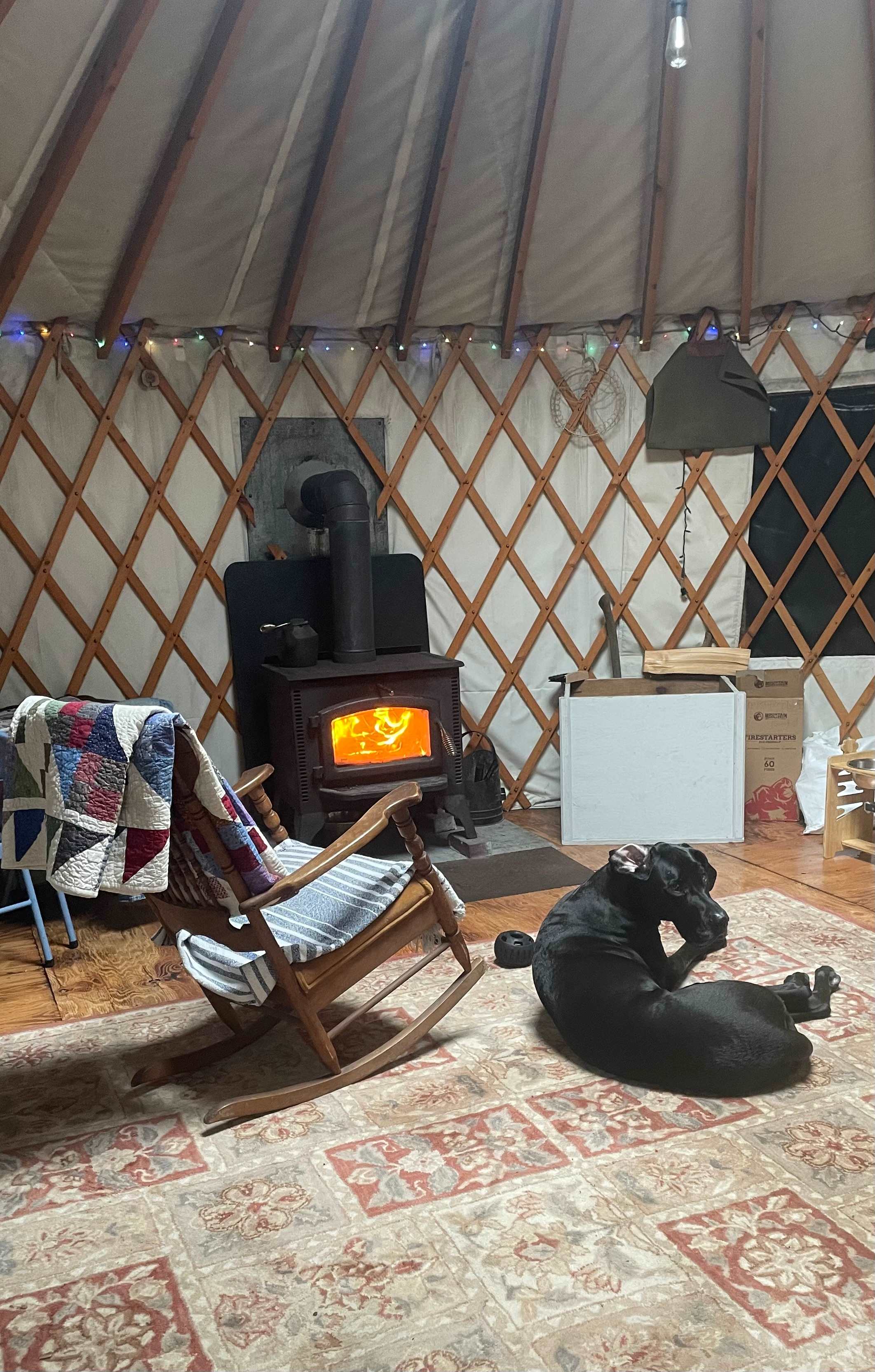 Treeyurt