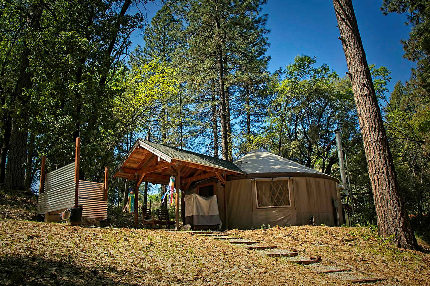 Yurt in the Sierra Foothills