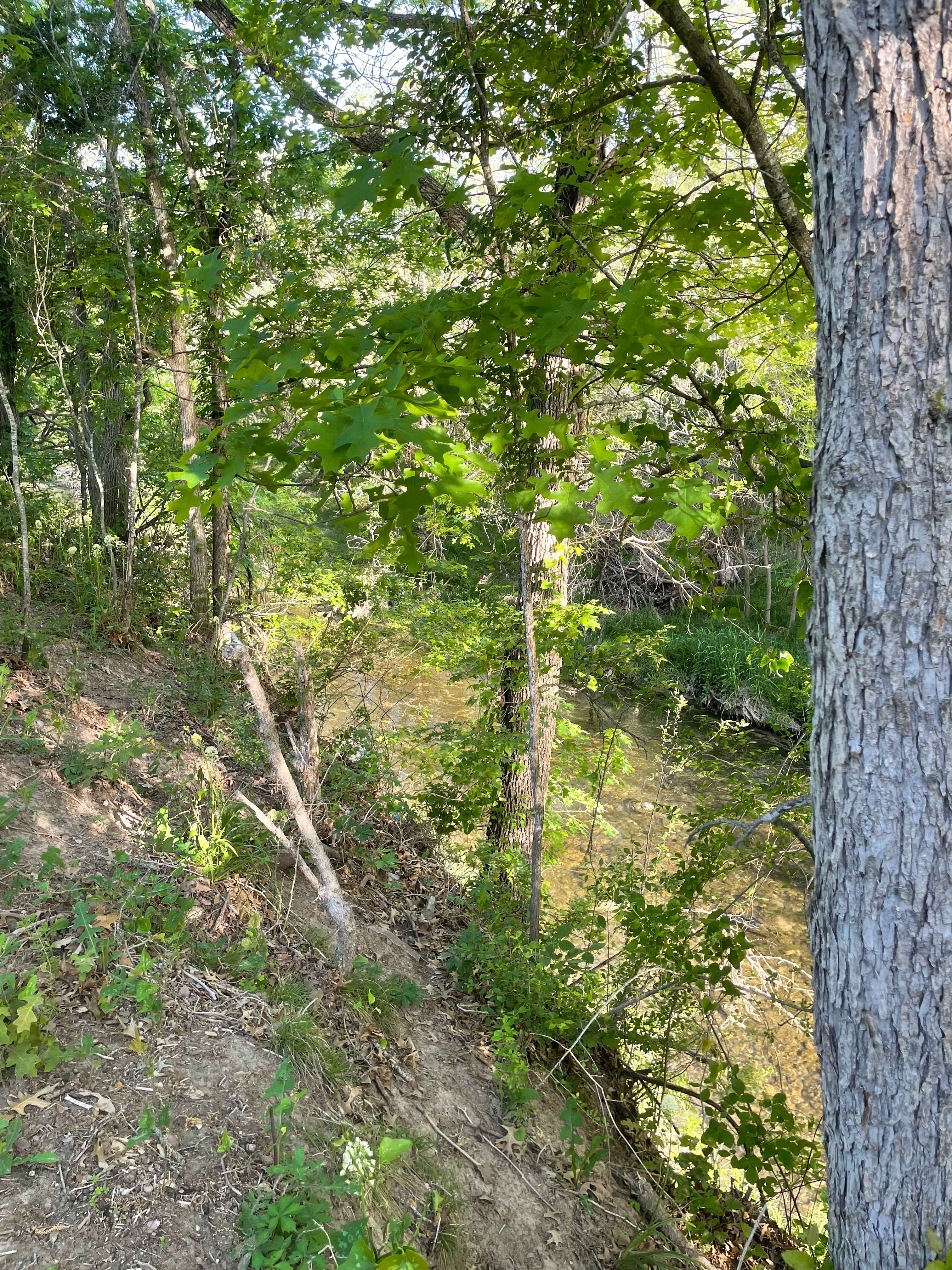 Creekside Coach Park