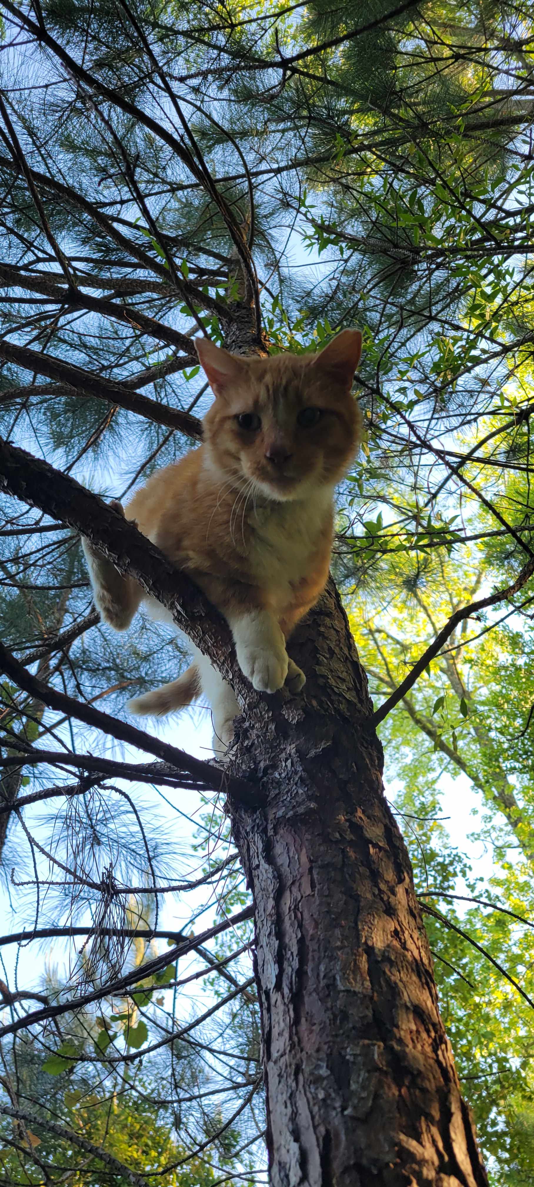 Rupert!