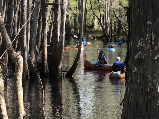 Blacks Fish Camp