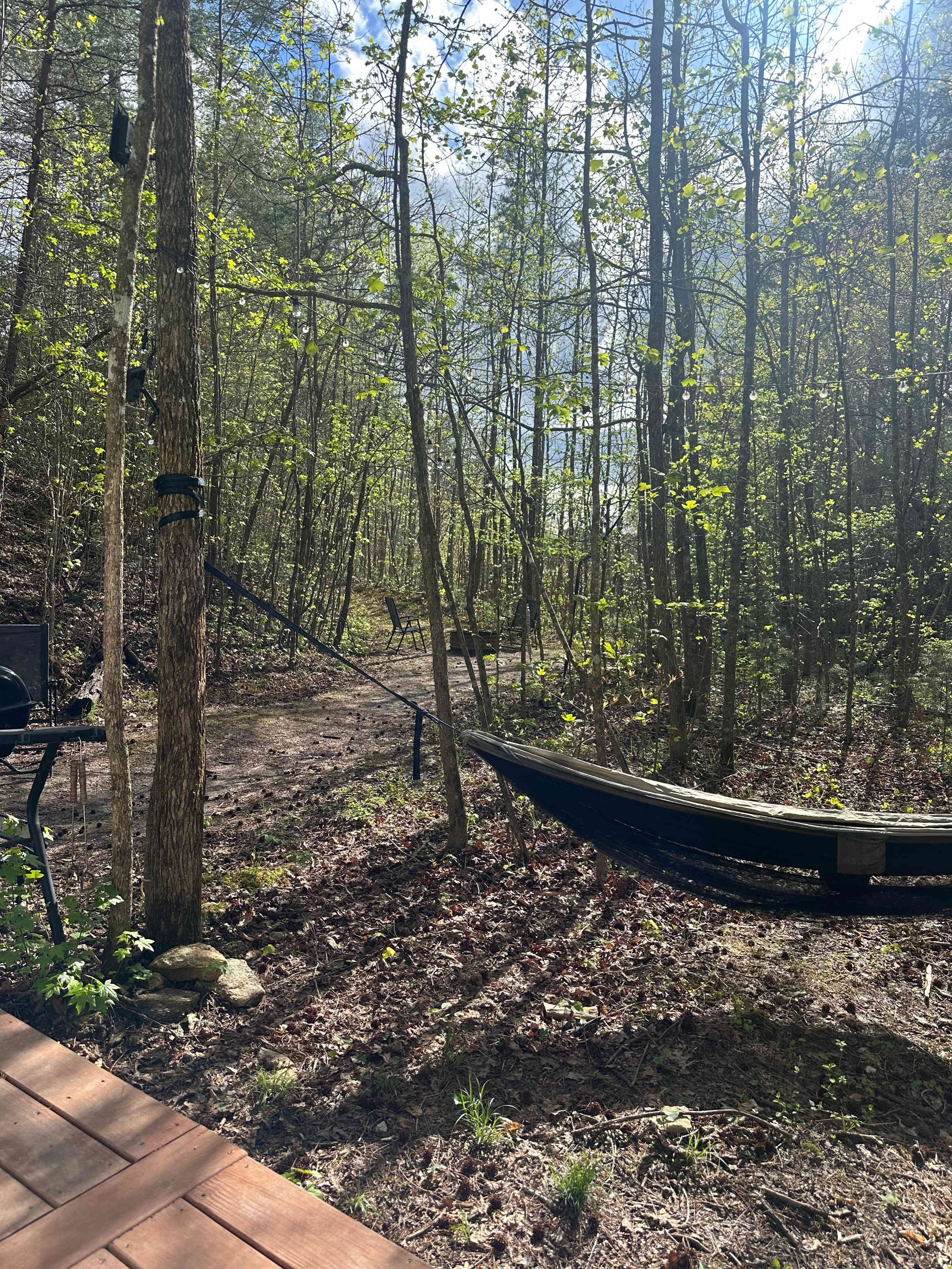 Yurt At Lake James And Fonta Flora