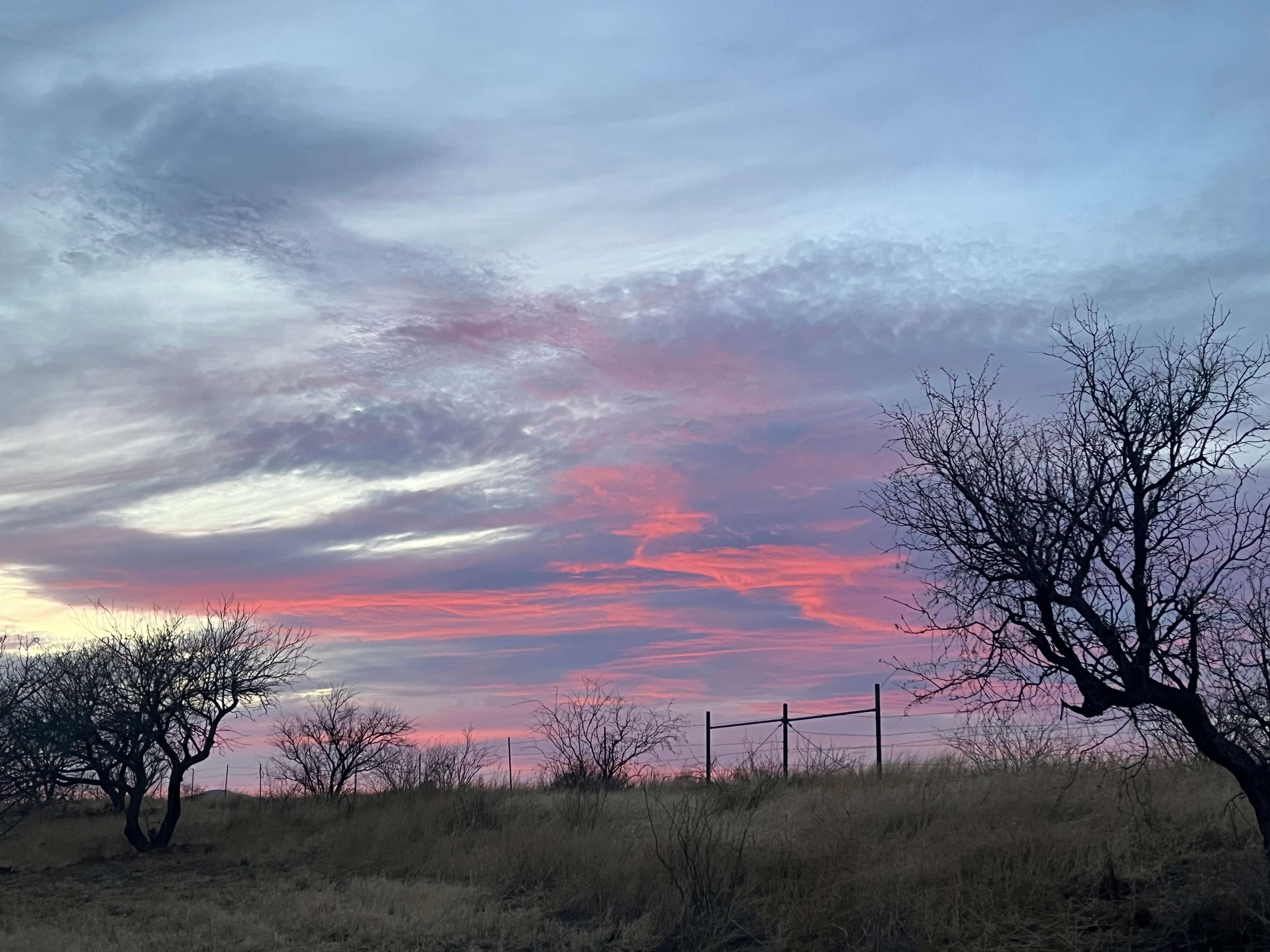 Rancho del Nido RV Horse Camp