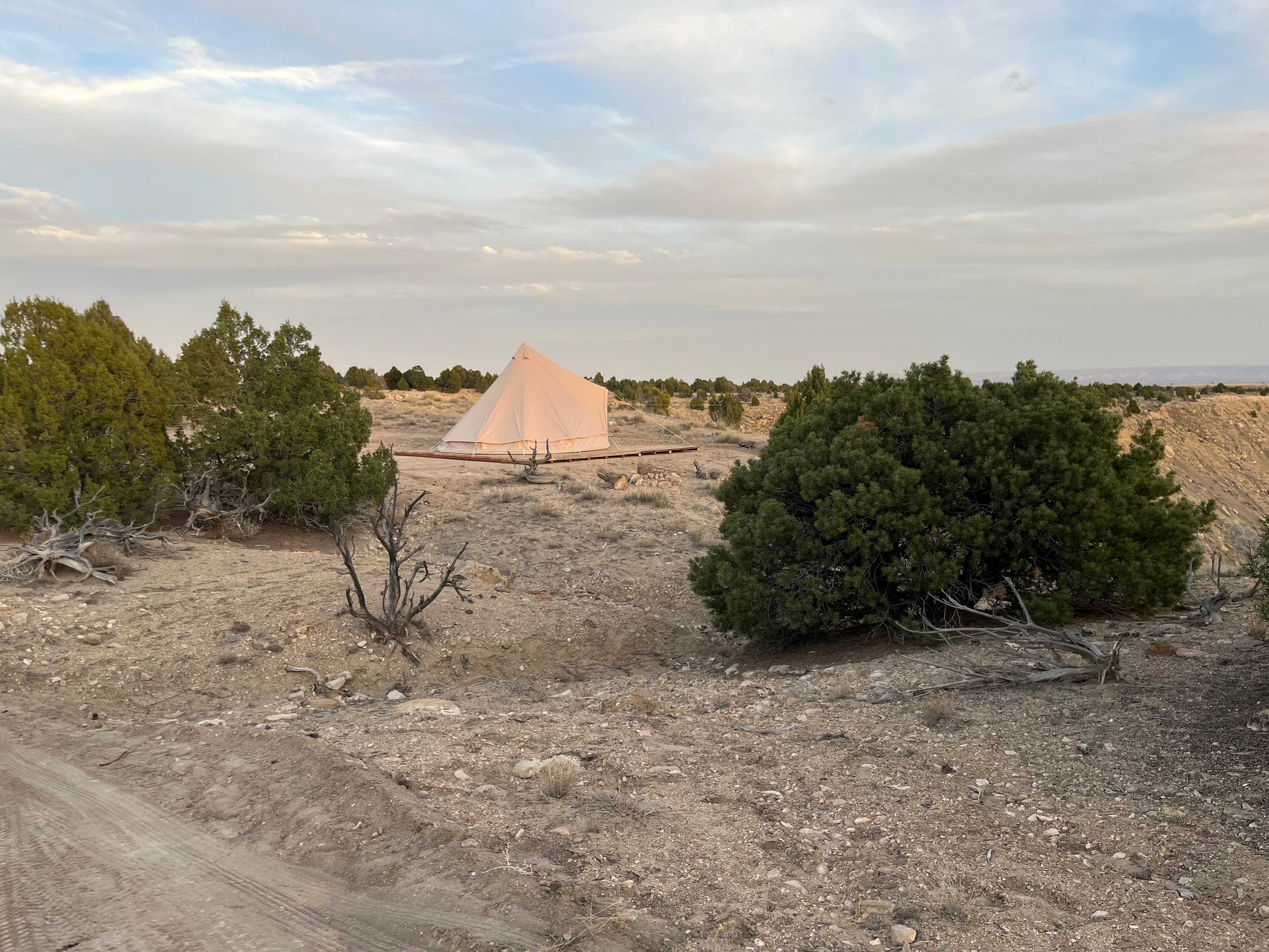 Picture of the site