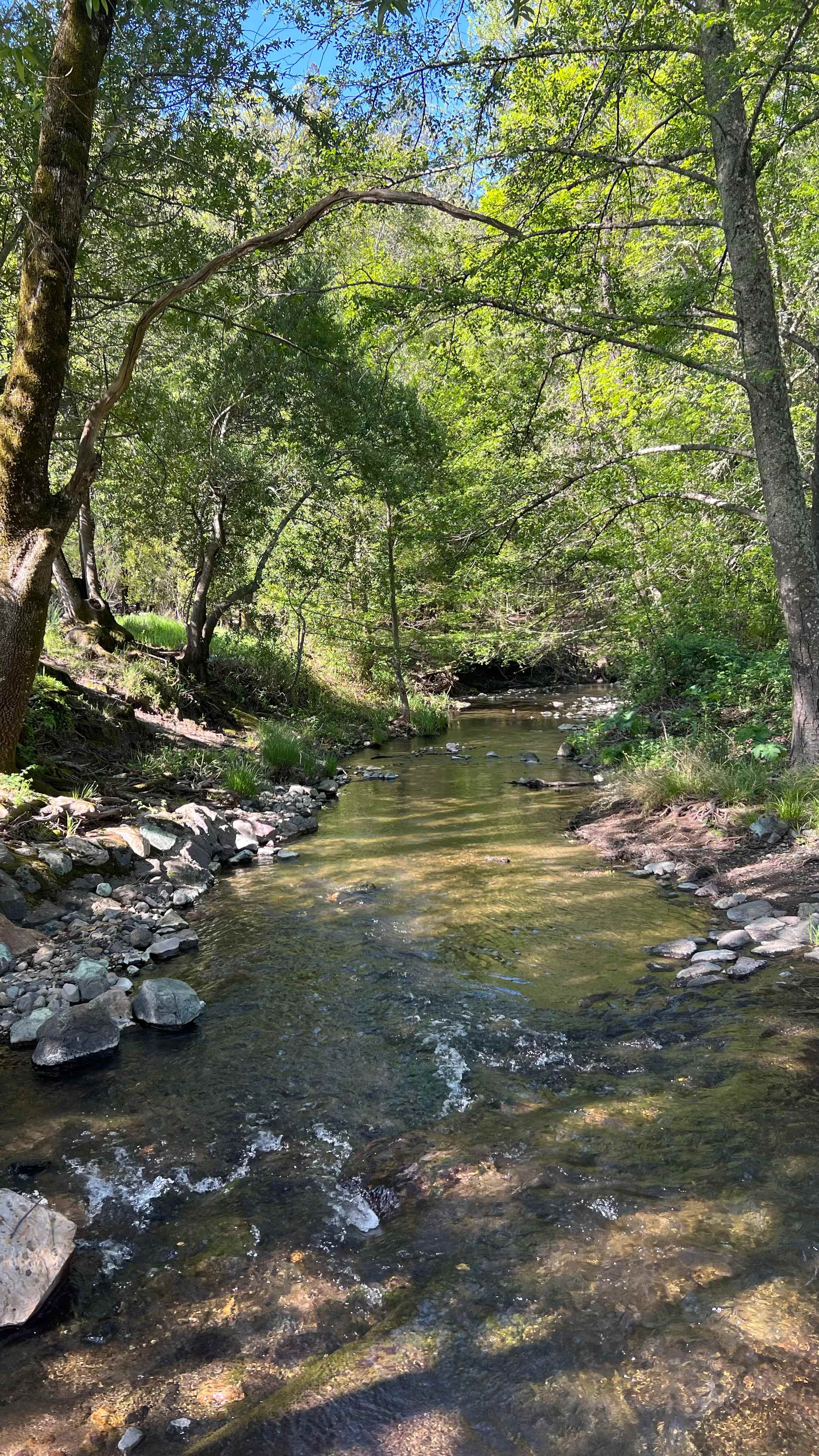 Creek 10 min away from campsite