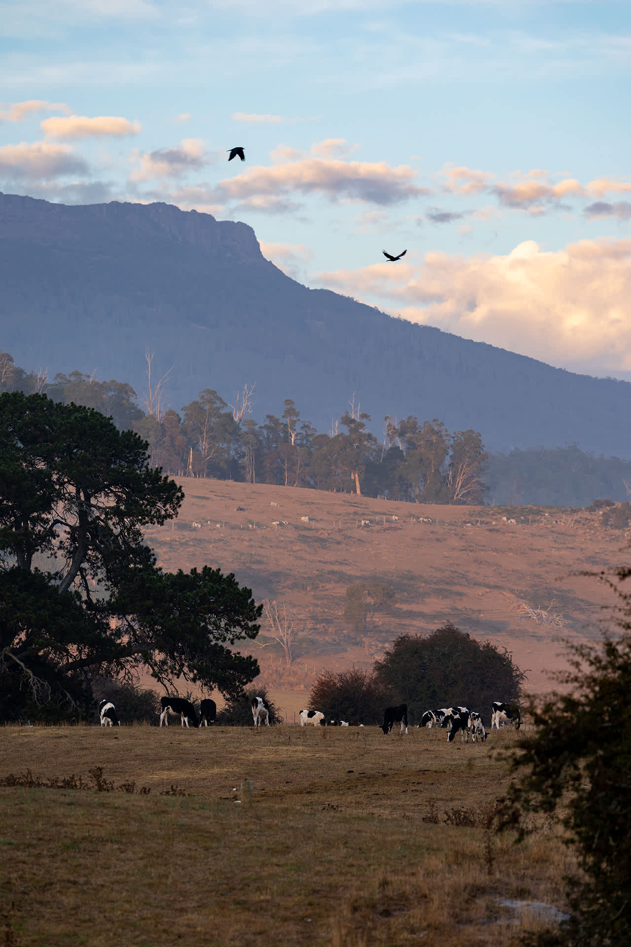 Limestone Valley