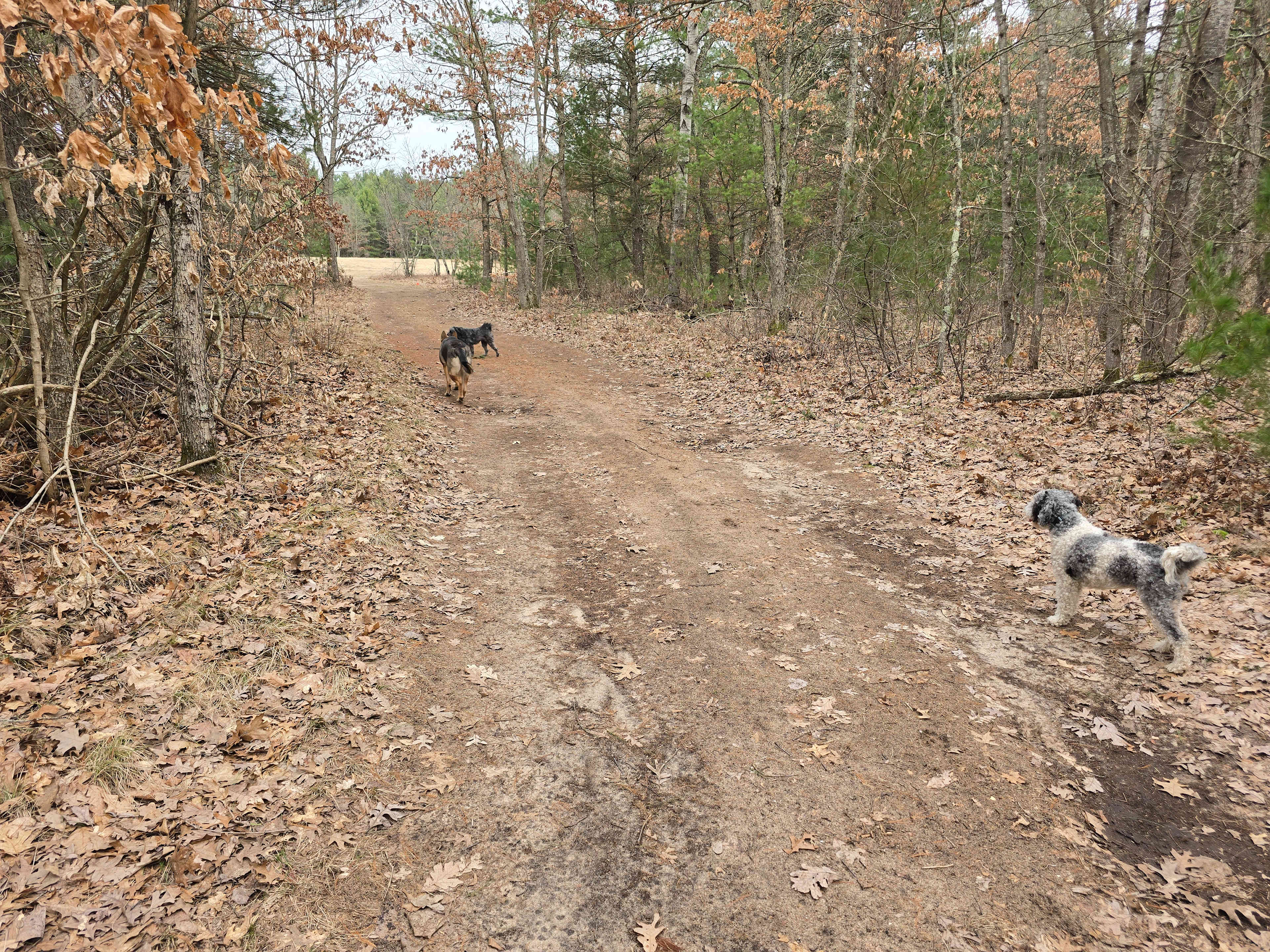 Entrance to the campsites is actually off a seasonal road. 