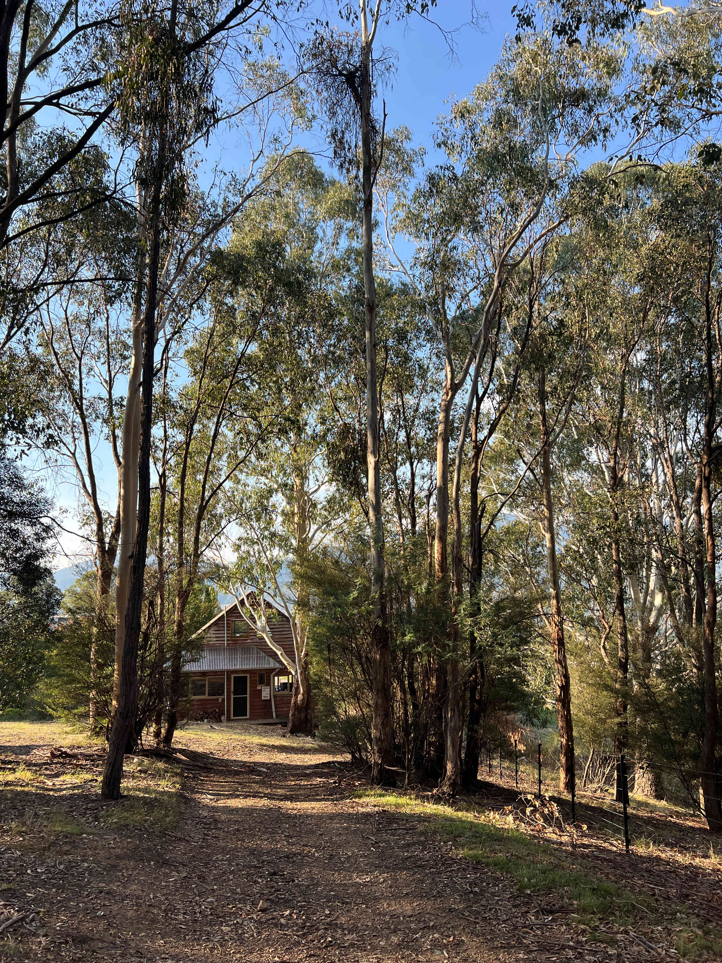 Little Olive Cabin