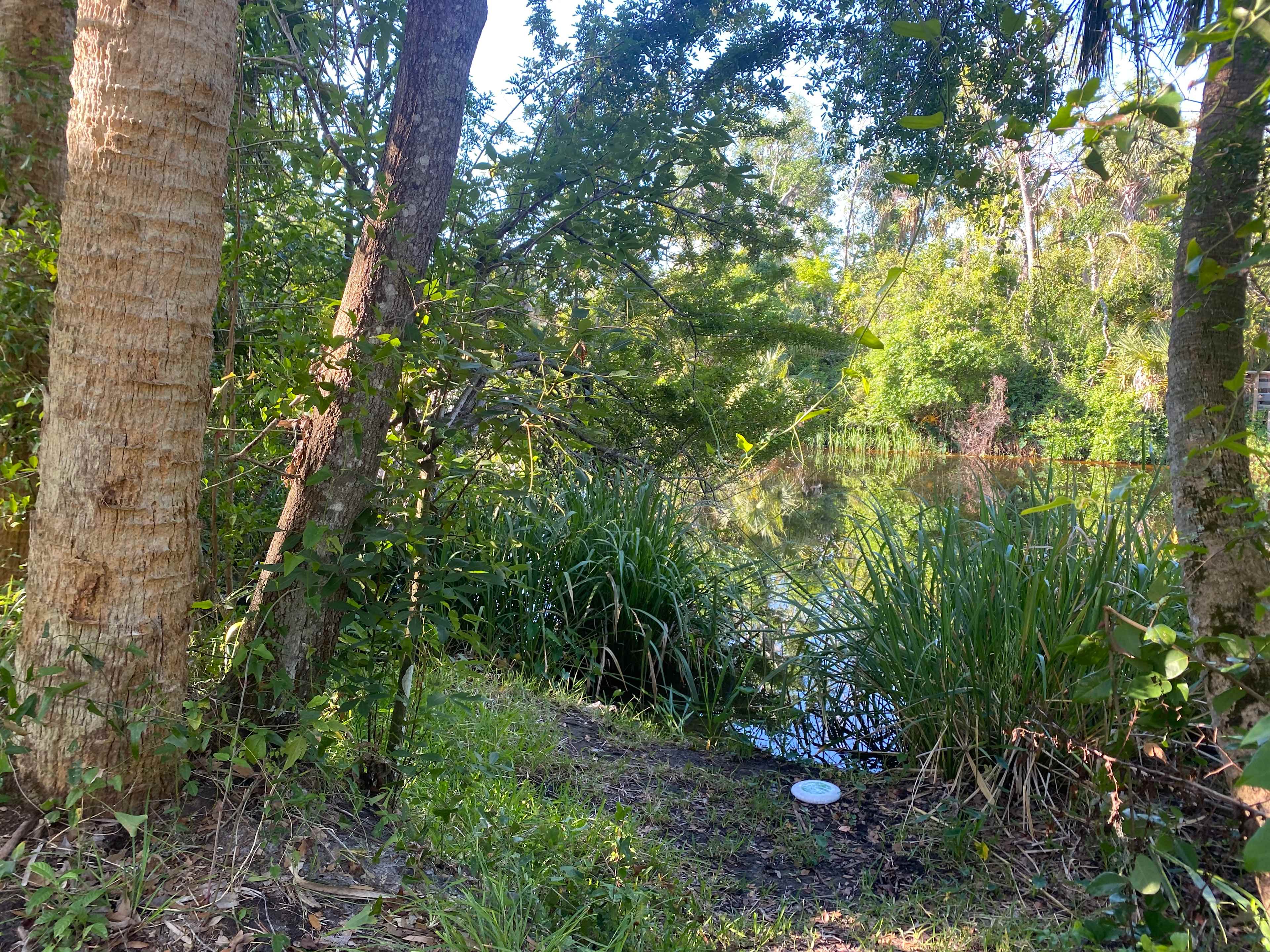 J and P Creekside Retreat
