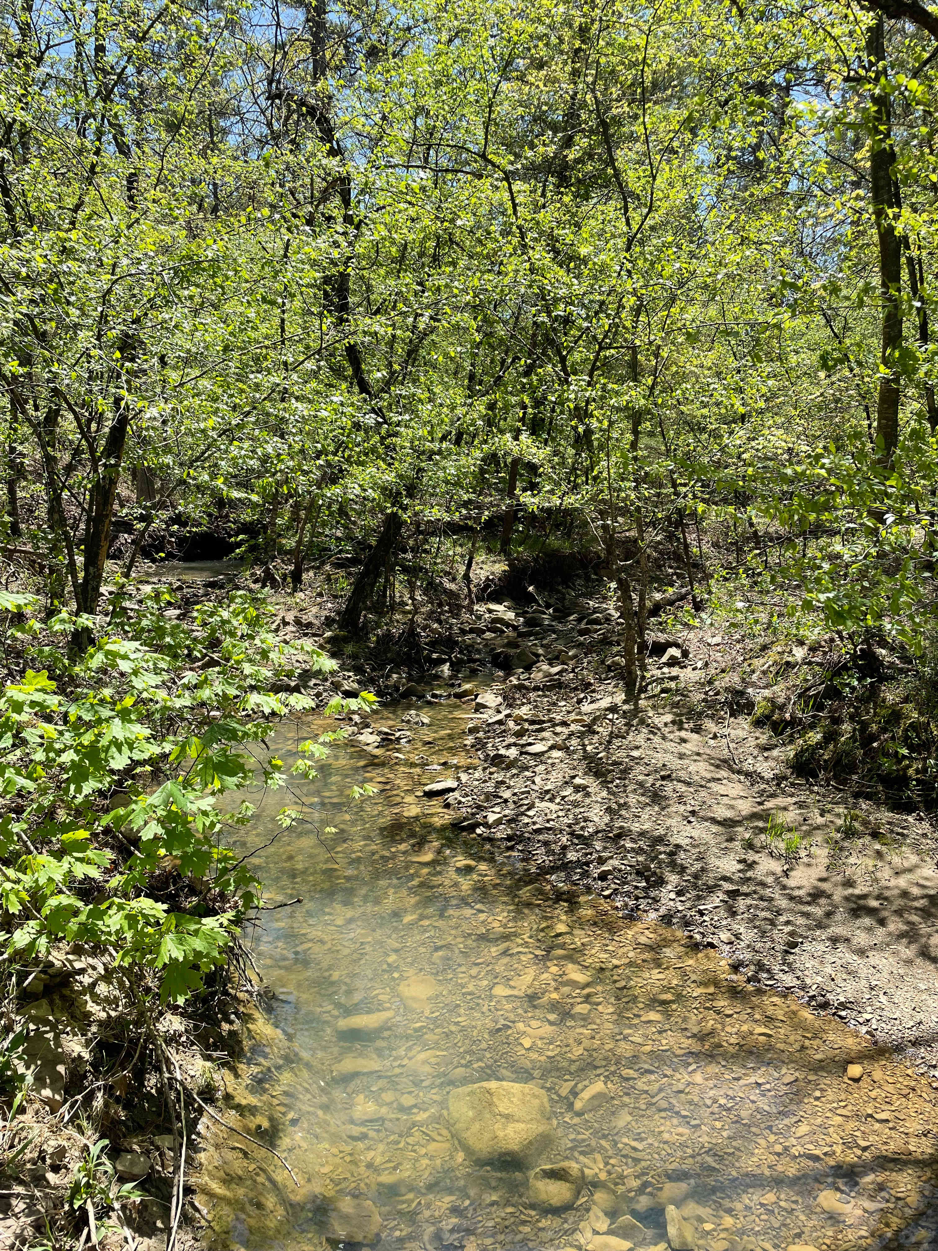 Yearling Ridge Riverfront Camp