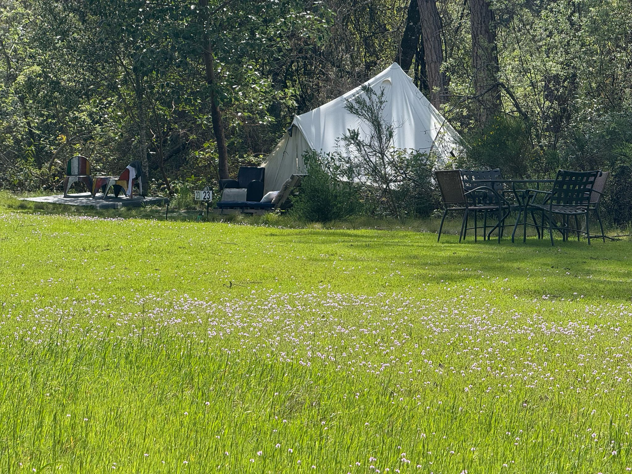 Big canvas Tent with meadow view