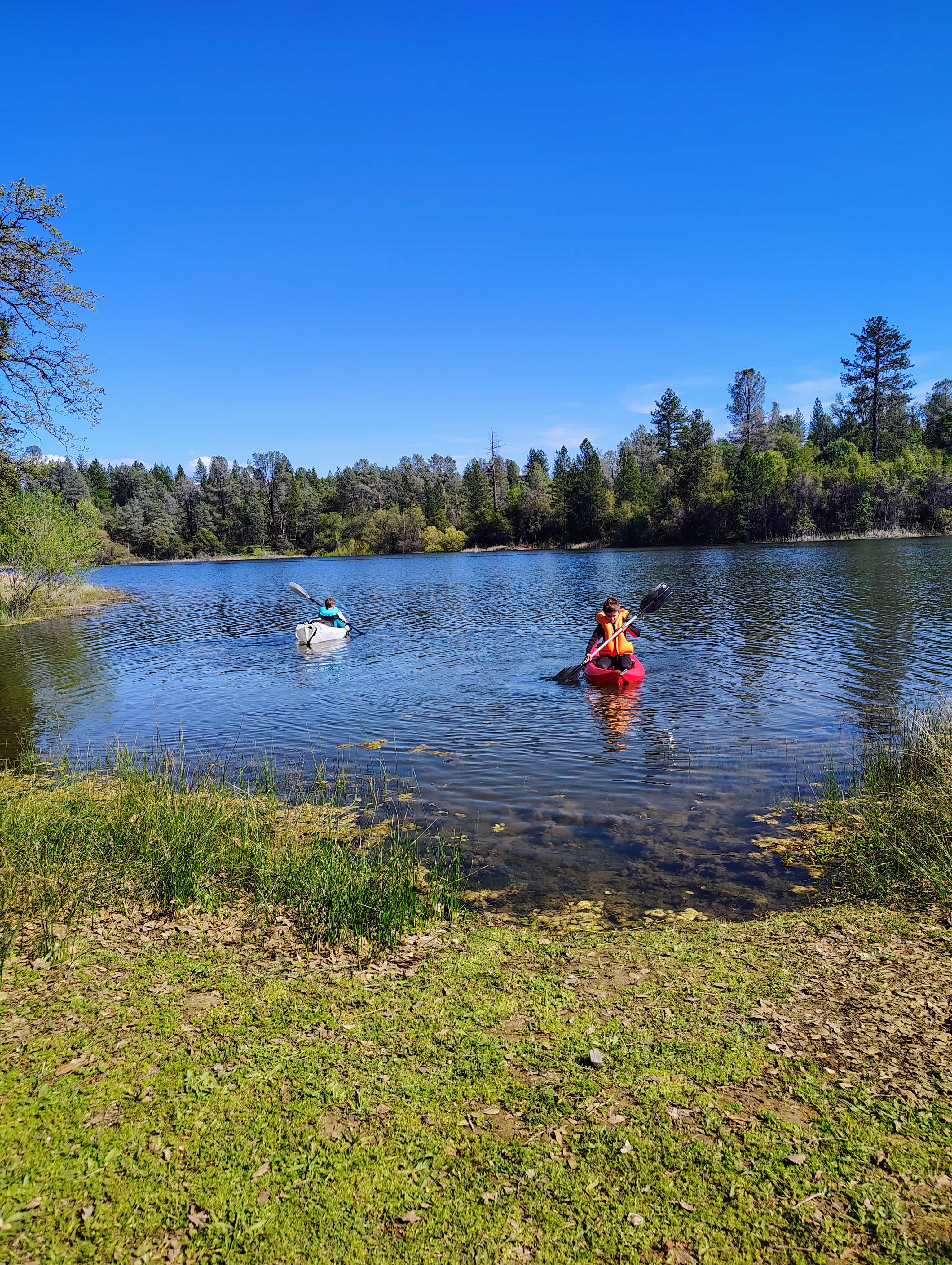 Plenty of water across sites, but only 1 wood dock on the other side of the water from the camp sites