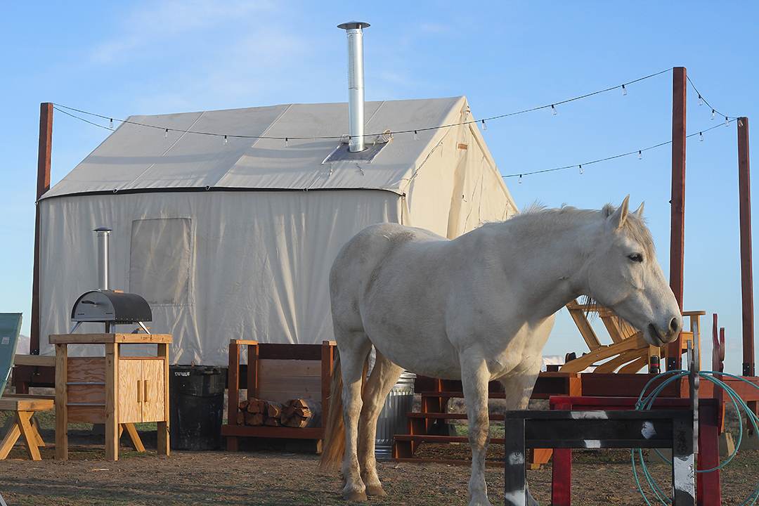 Star Gaze Ranch